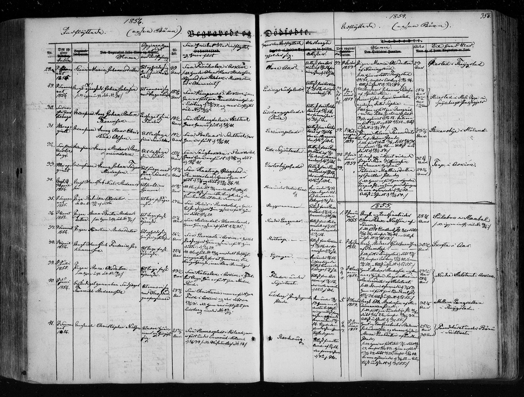 Eidsberg prestekontor Kirkebøker, SAO/A-10905/F/Fa/L0009: Parish register (official) no. I 9, 1849-1856, p. 356