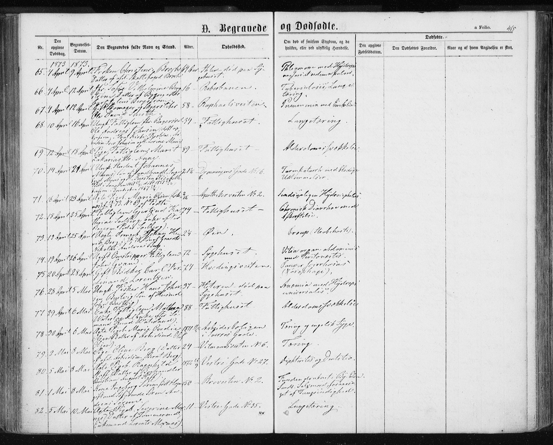 Ministerialprotokoller, klokkerbøker og fødselsregistre - Sør-Trøndelag, SAT/A-1456/601/L0055: Parish register (official) no. 601A23, 1866-1877, p. 465