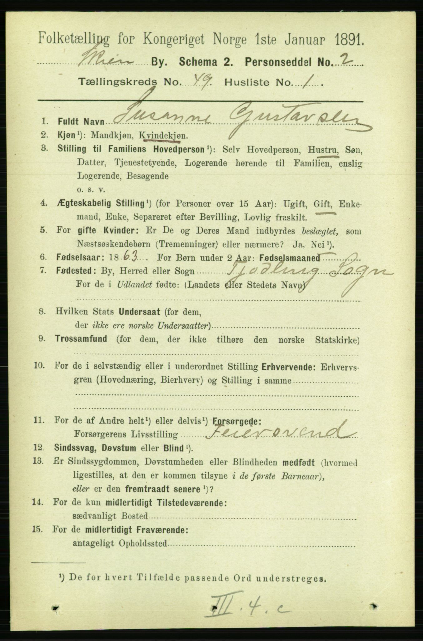 RA, 1891 census for 0806 Skien, 1891, p. 10293