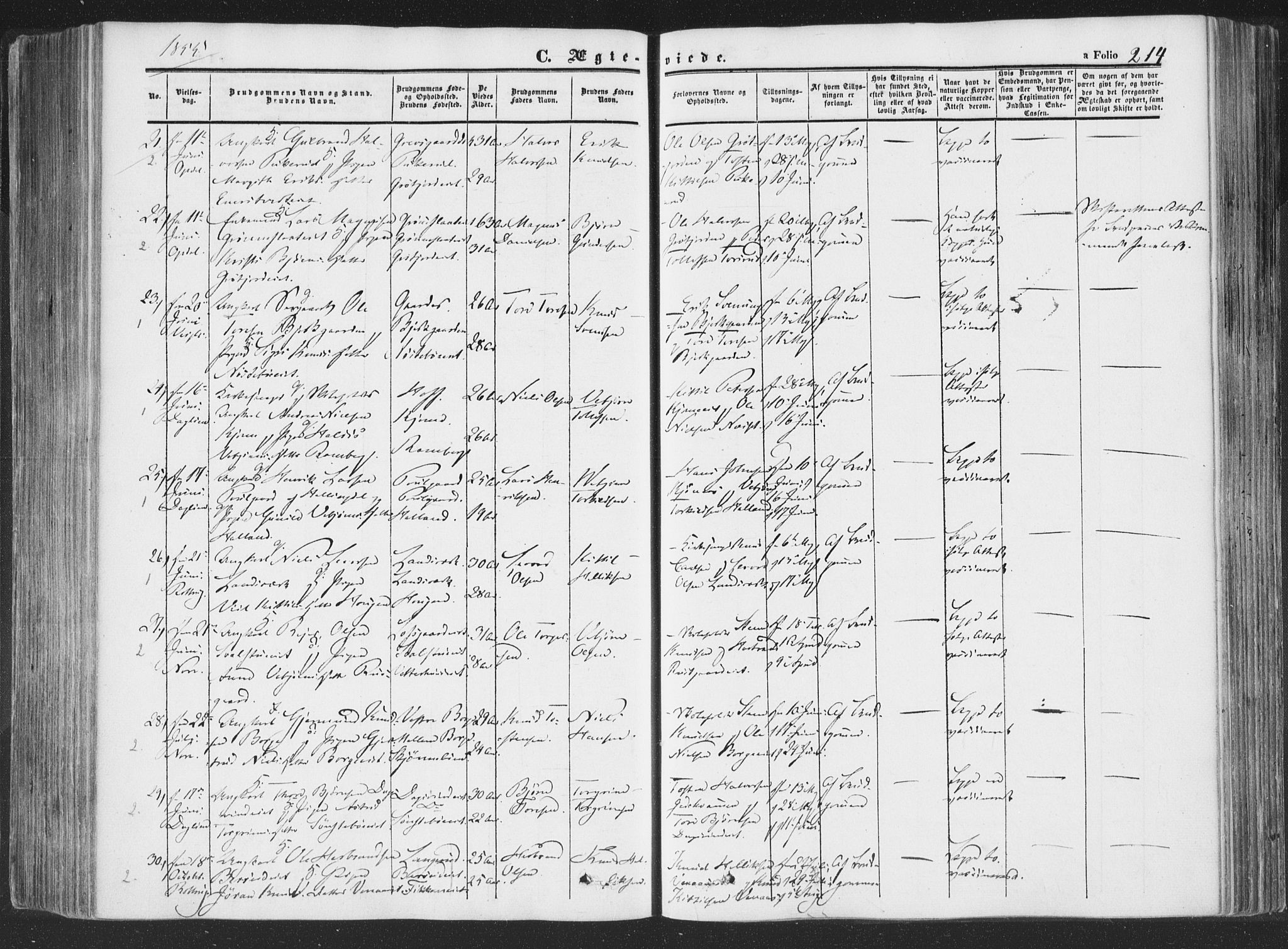 Rollag kirkebøker, AV/SAKO-A-240/F/Fa/L0008: Parish register (official) no. I 8, 1847-1860, p. 214