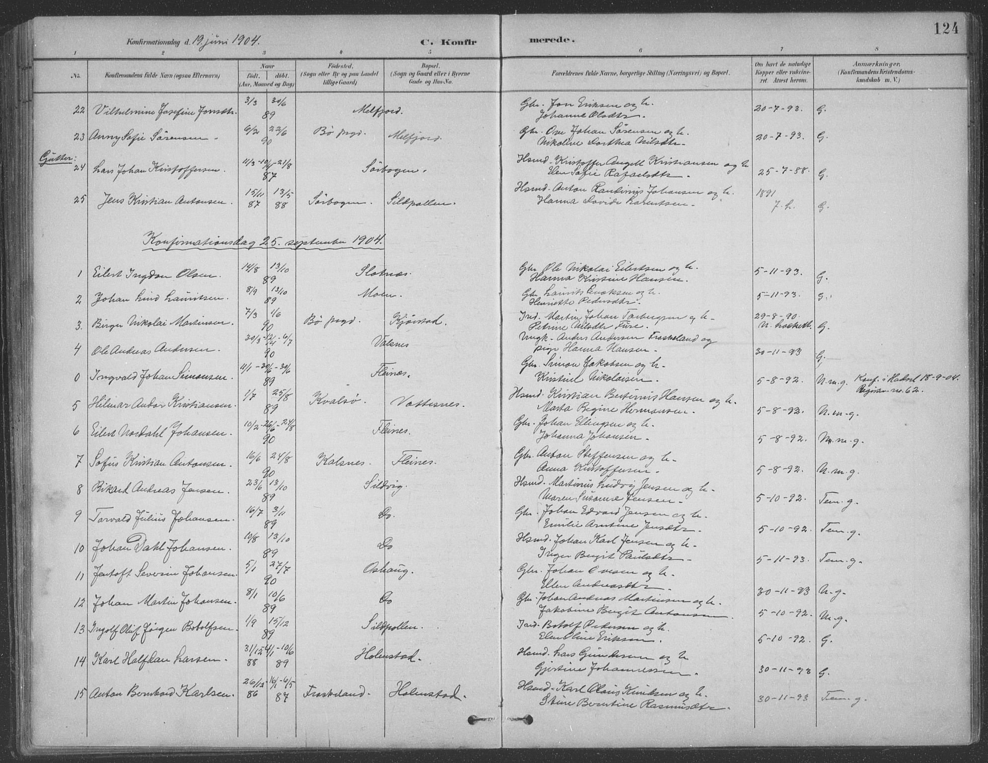 Ministerialprotokoller, klokkerbøker og fødselsregistre - Nordland, SAT/A-1459/890/L1290: Parish register (copy) no. 890C01, 1882-1911, p. 124