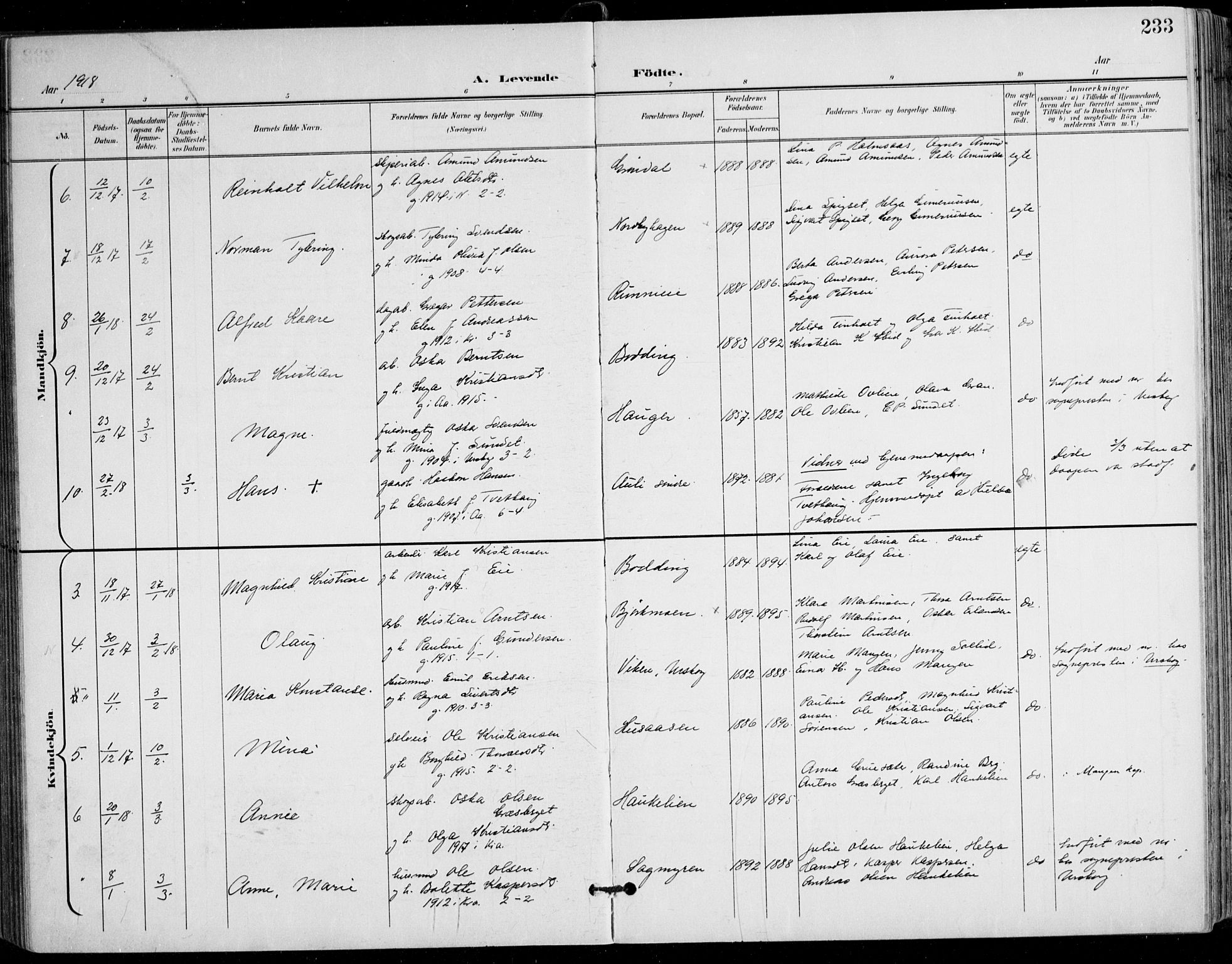 Nes prestekontor Kirkebøker, AV/SAO-A-10410/F/Fa/L0011: Parish register (official) no. I 11, 1899-1918, p. 233