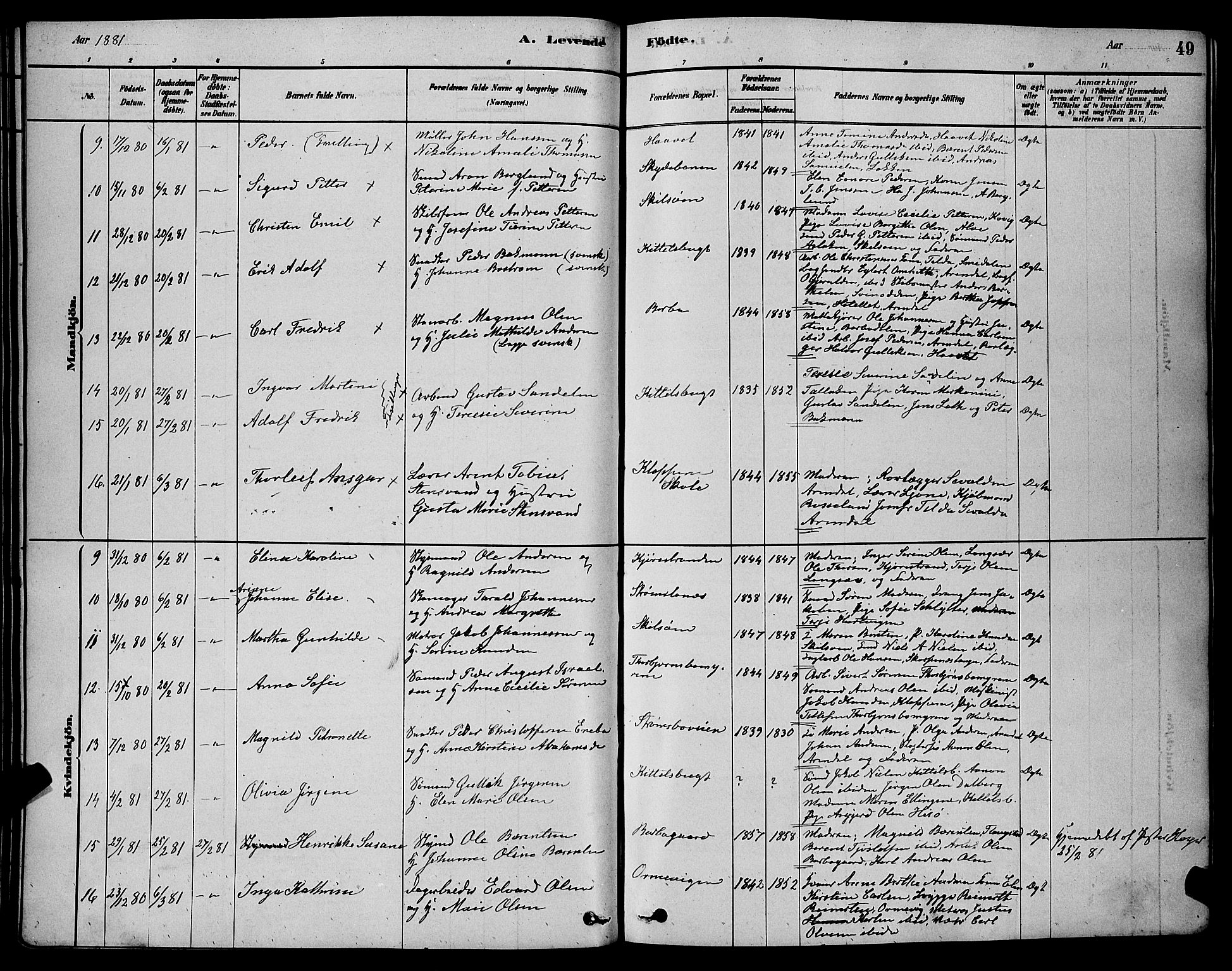 Barbu sokneprestkontor, AV/SAK-1111-0003/F/Fb/L0001: Parish register (copy) no. B 1, 1878-1890, p. 49