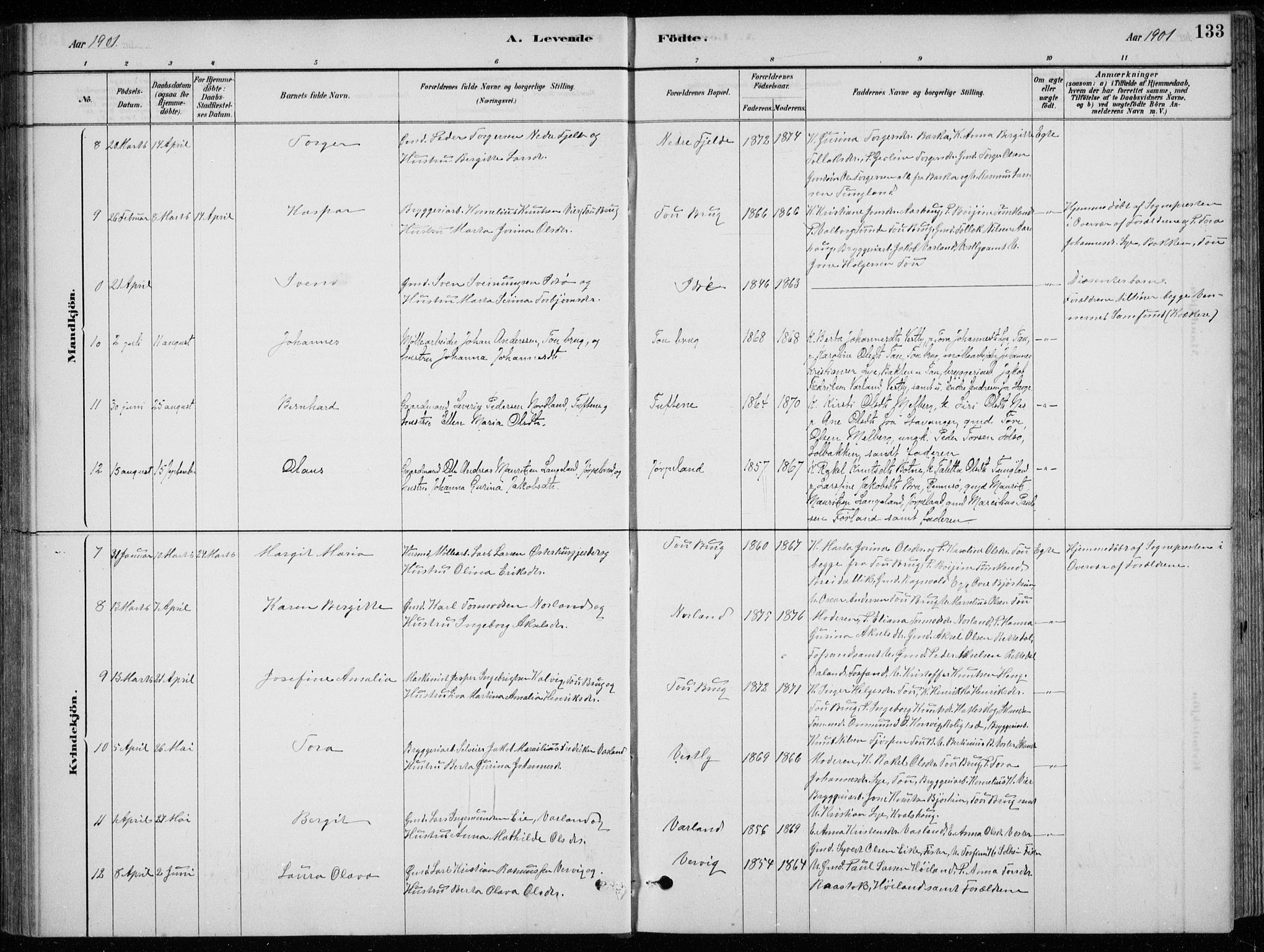 Strand sokneprestkontor, AV/SAST-A-101828/H/Ha/Hab/L0004: Parish register (copy) no. B 4, 1878-1903, p. 133