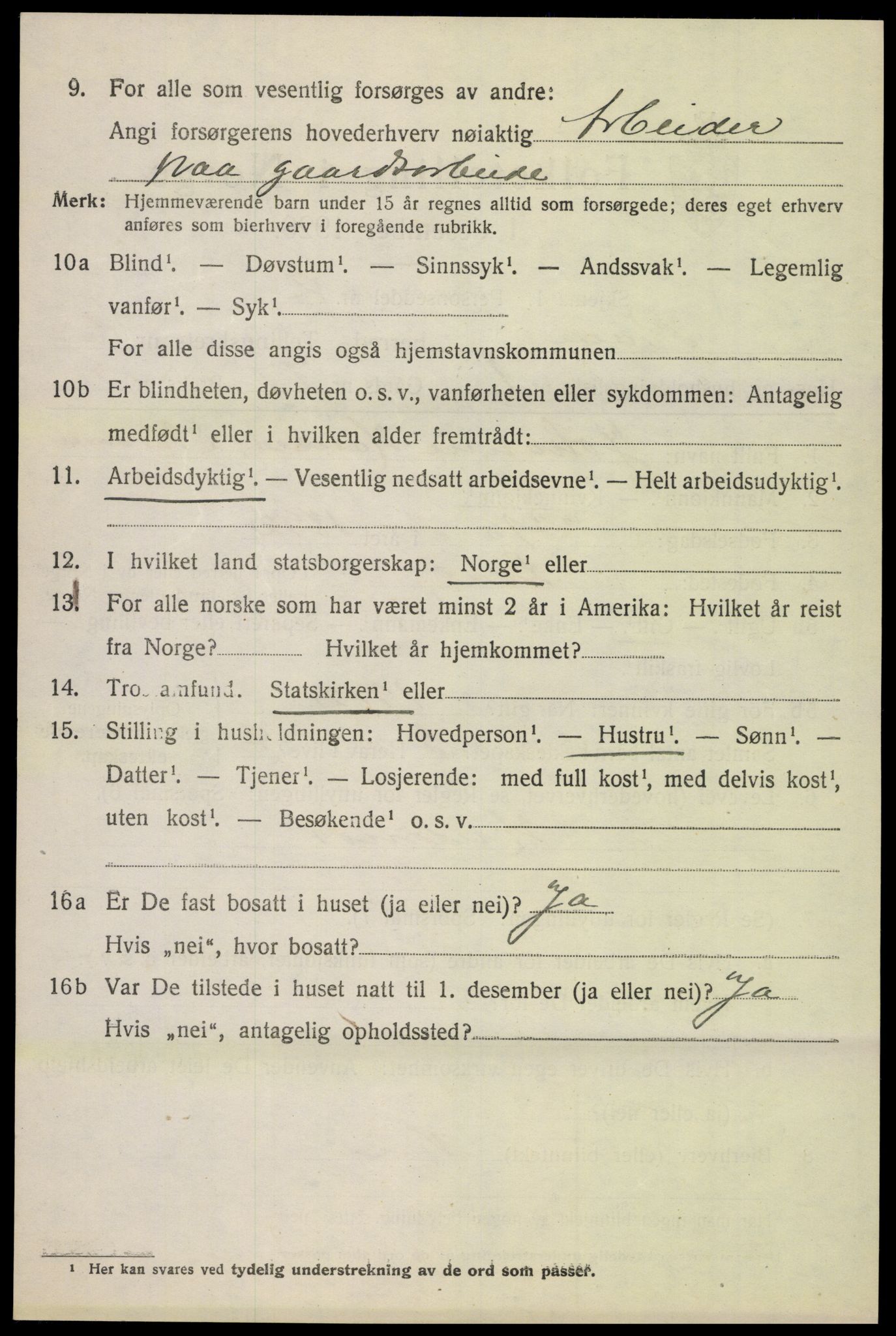 SAH, 1920 census for Lom, 1920, p. 3733