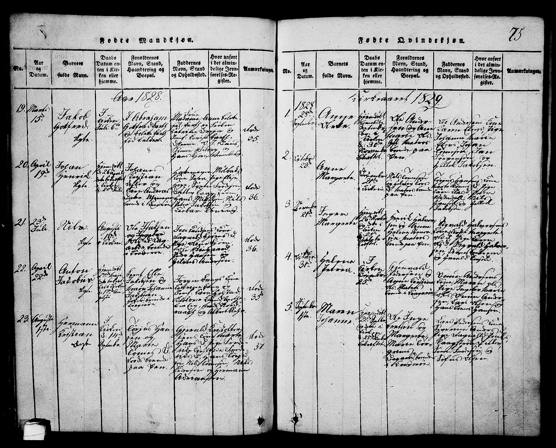 Kragerø kirkebøker, SAKO/A-278/G/Ga/L0002: Parish register (copy) no. 2, 1814-1831, p. 75
