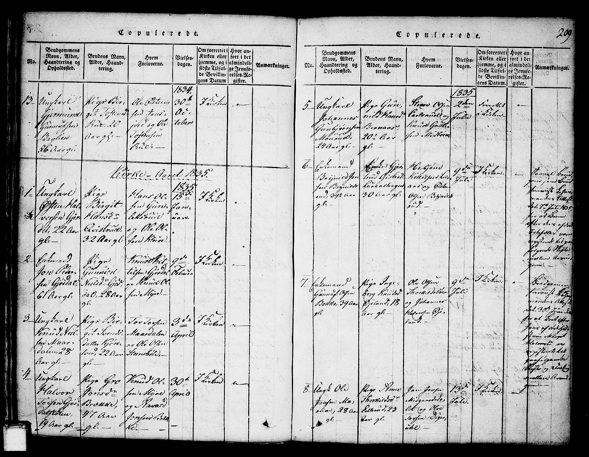 Tinn kirkebøker, SAKO/A-308/G/Ga/L0001: Parish register (copy) no. I 1, 1815-1850, p. 209