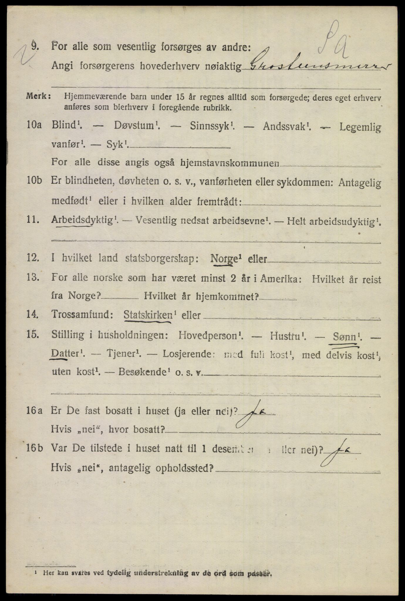 SAKO, 1920 census for Hol (Buskerud), 1920, p. 4928