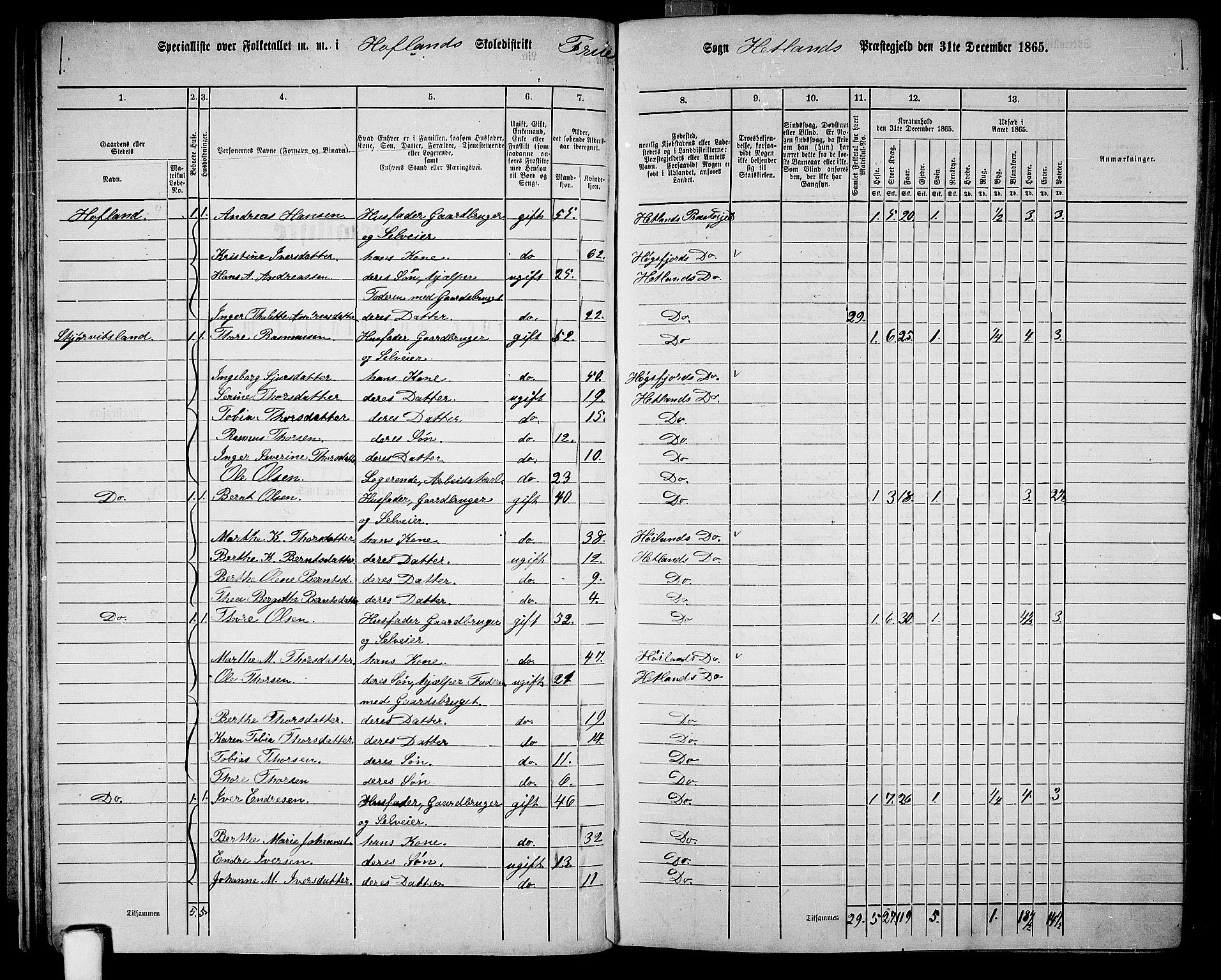 RA, 1865 census for Hetland, 1865, p. 30