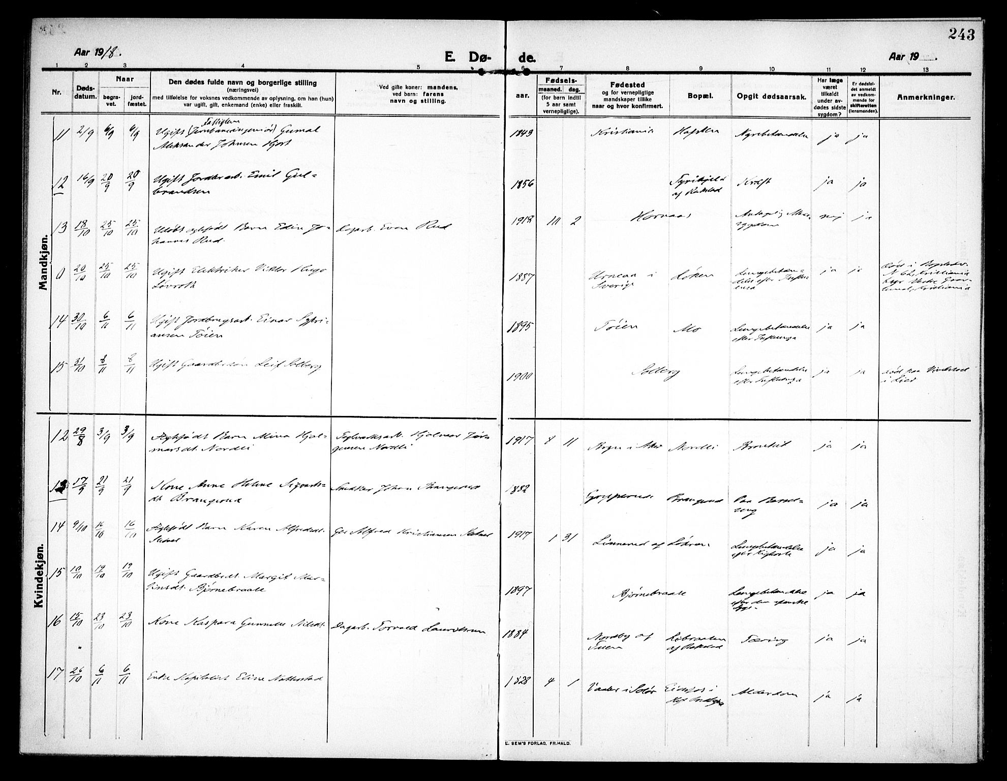 Høland prestekontor Kirkebøker, AV/SAO-A-10346a/F/Fa/L0016: Parish register (official) no. I 16, 1912-1921, p. 243