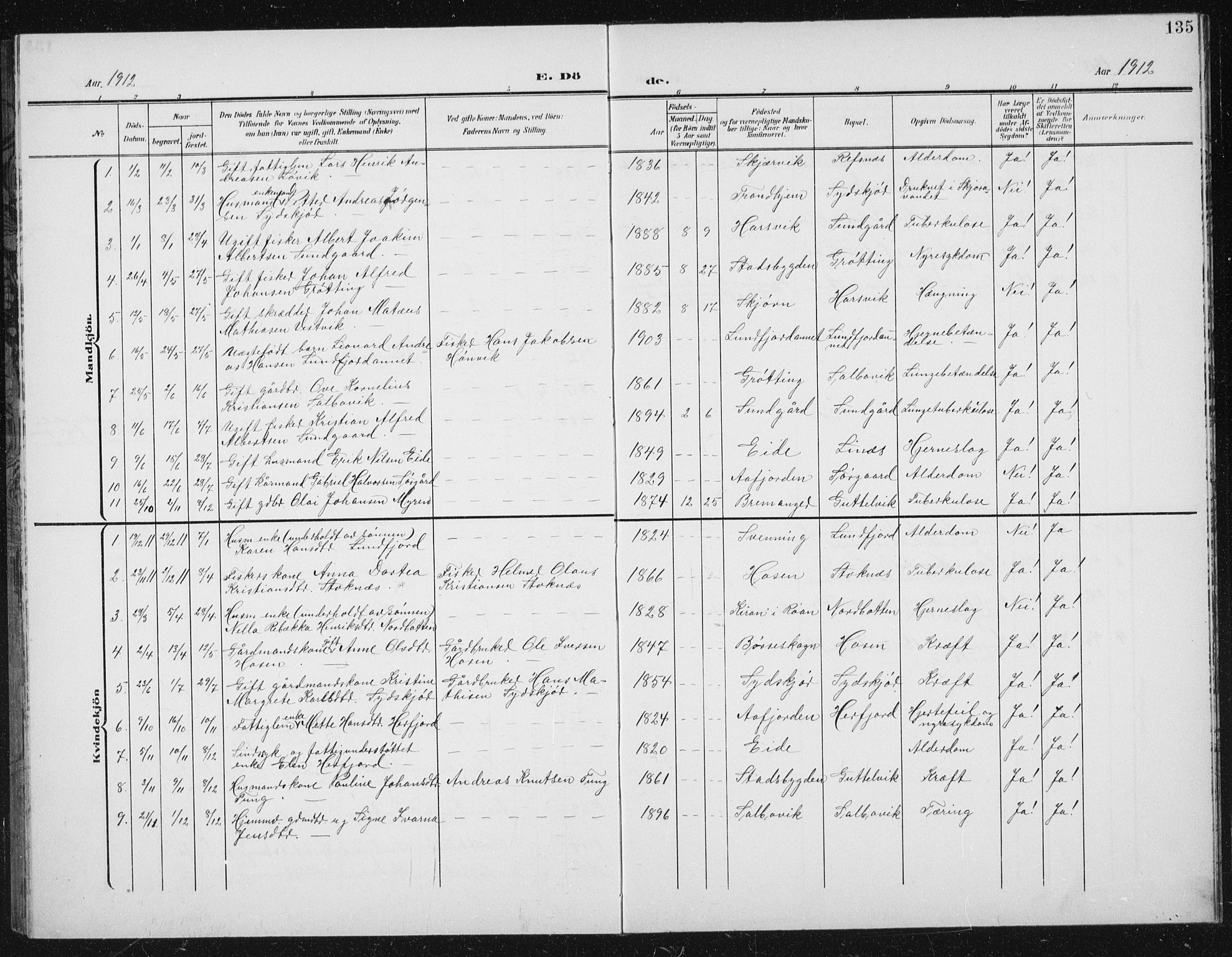 Ministerialprotokoller, klokkerbøker og fødselsregistre - Sør-Trøndelag, SAT/A-1456/656/L0699: Parish register (copy) no. 656C05, 1905-1920, p. 135