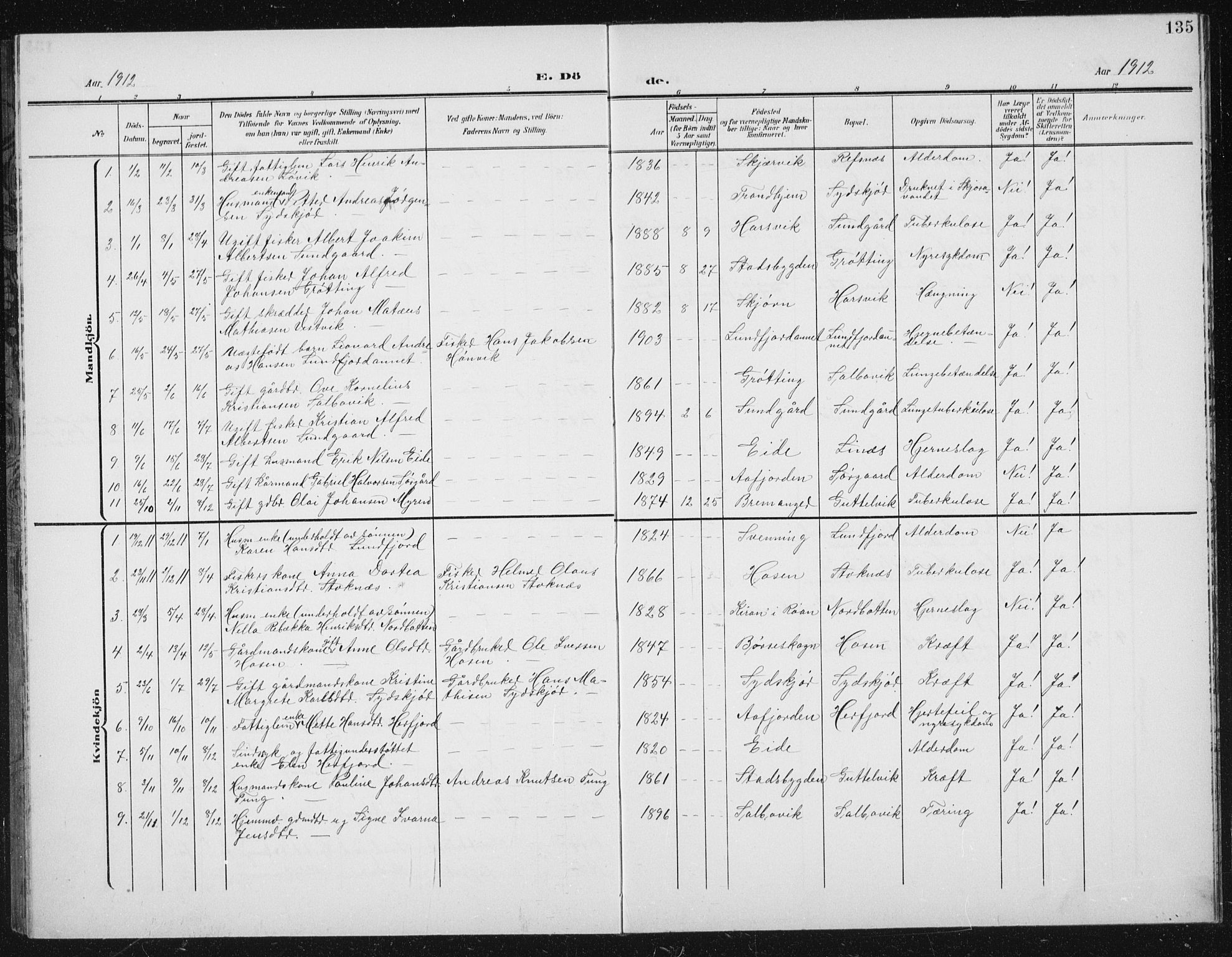 Ministerialprotokoller, klokkerbøker og fødselsregistre - Sør-Trøndelag, AV/SAT-A-1456/656/L0699: Parish register (copy) no. 656C05, 1905-1920, p. 135