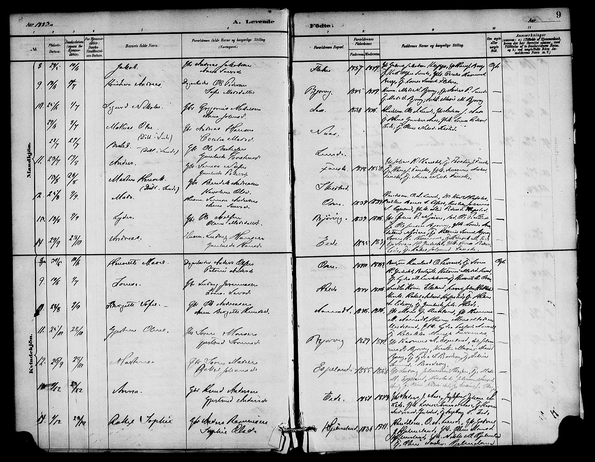 Gaular sokneprestembete, AV/SAB-A-80001/H/Haa: Parish register (official) no. C 1, 1882-1897, p. 9