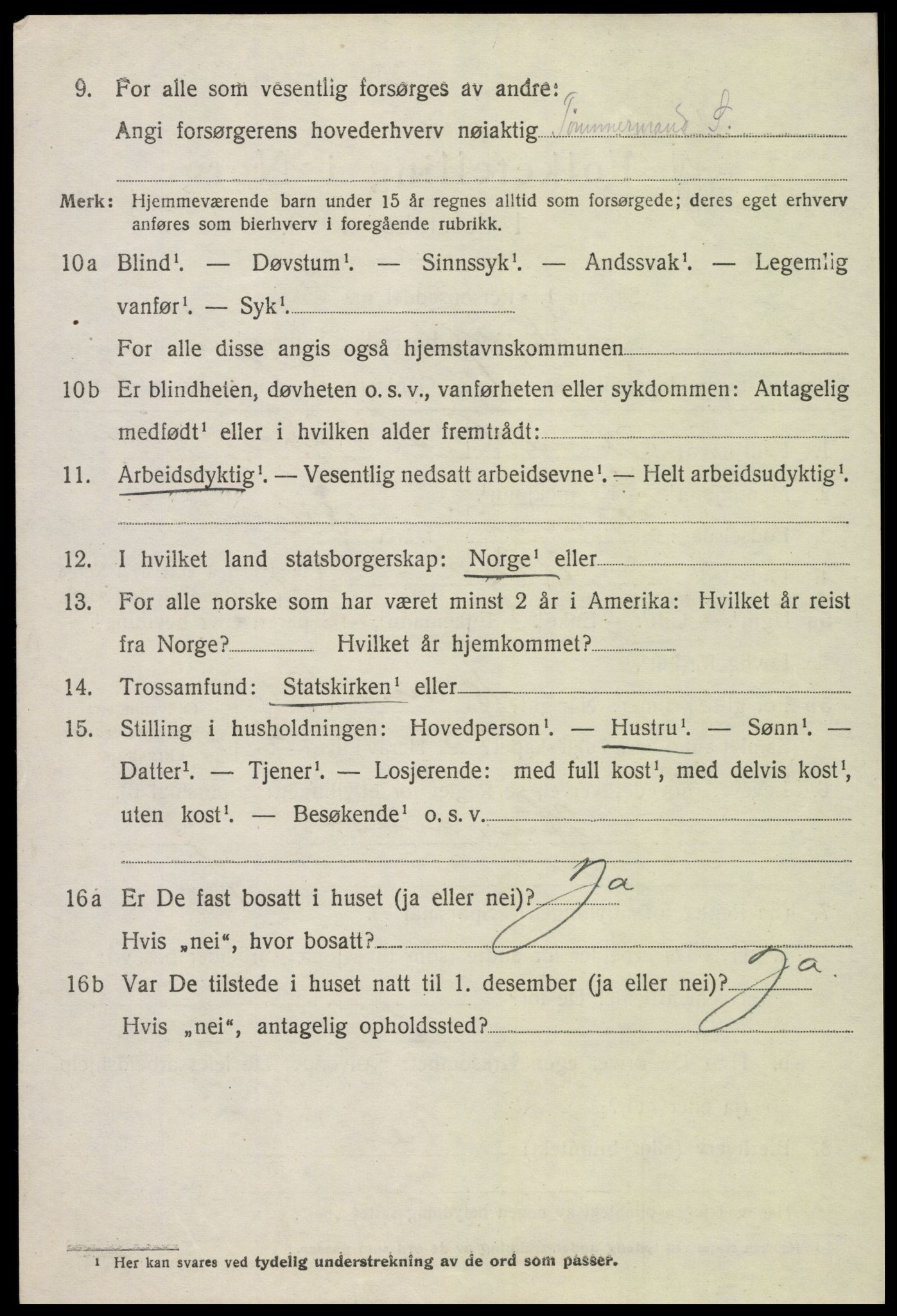 SAH, 1920 census for Skjåk, 1920, p. 2997