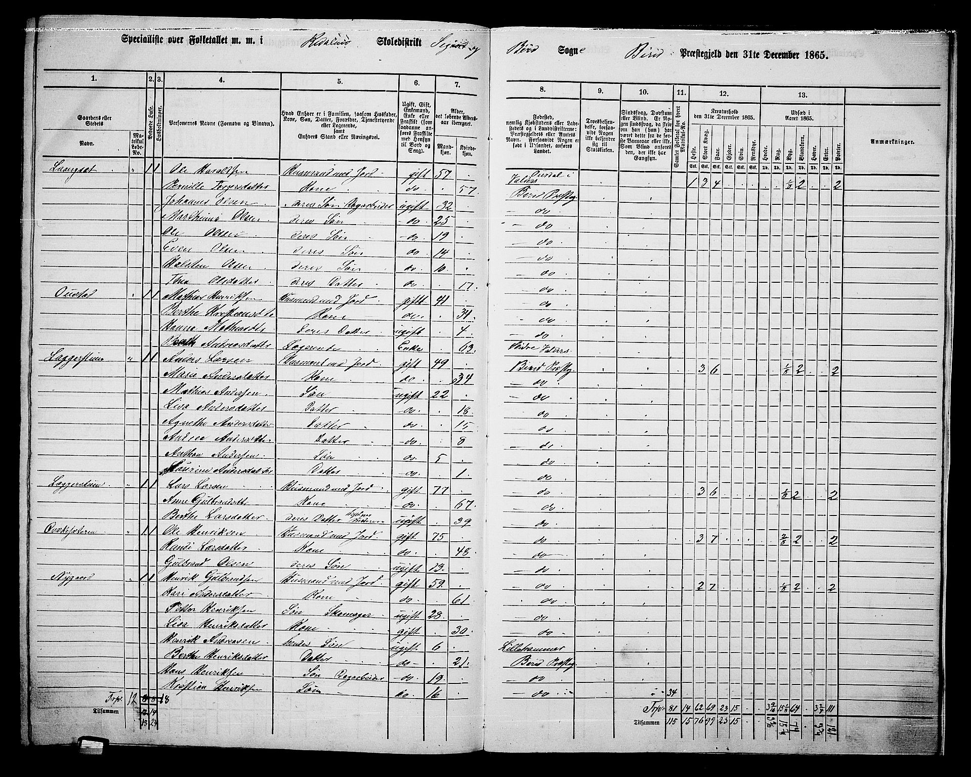 RA, 1865 census for Biri, 1865, p. 215