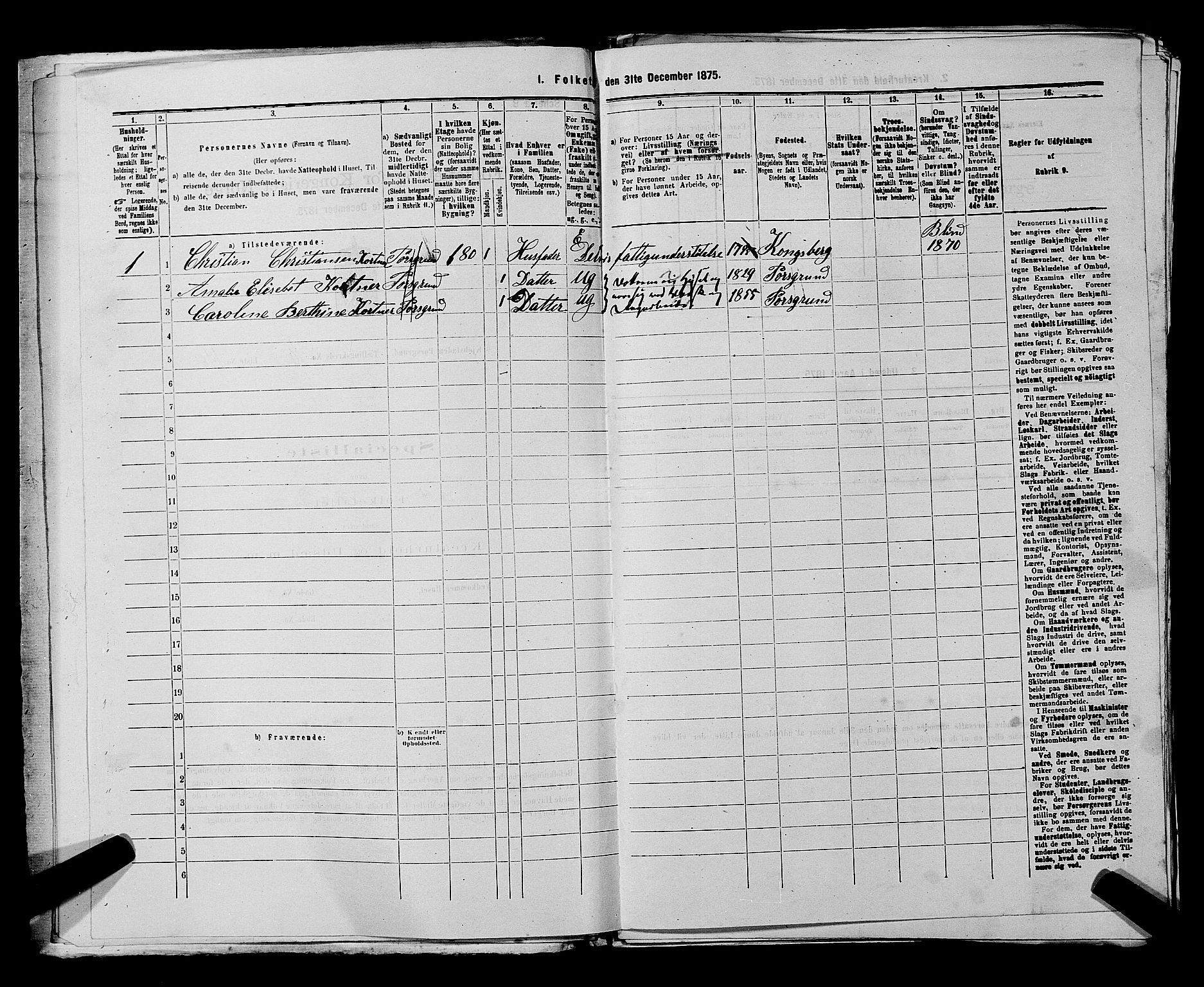 SAKO, 1875 census for 0805P Porsgrunn, 1875, p. 458