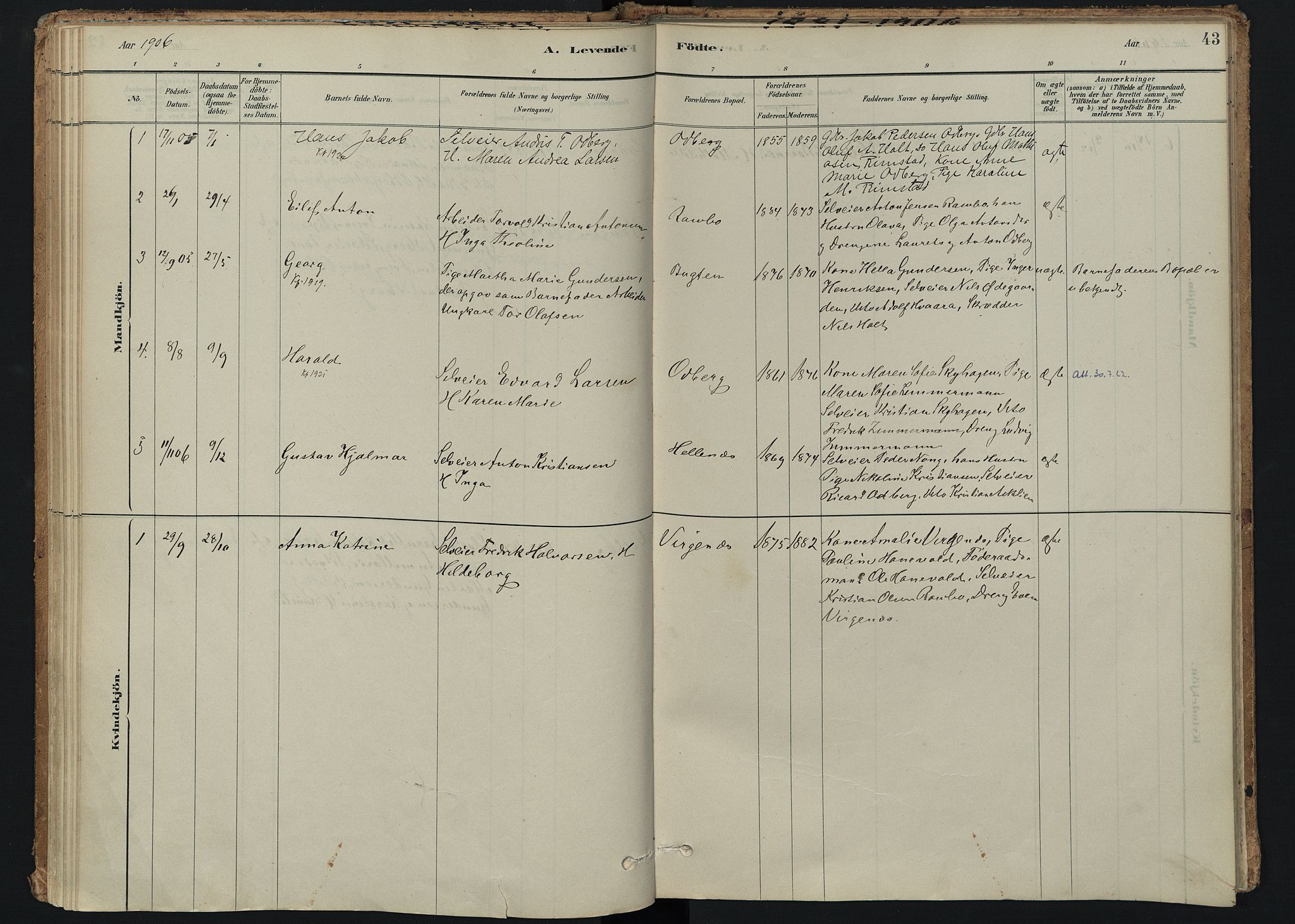Hedrum kirkebøker, SAKO/A-344/F/Fc/L0001: Parish register (official) no. III 1, 1881-1906, p. 43