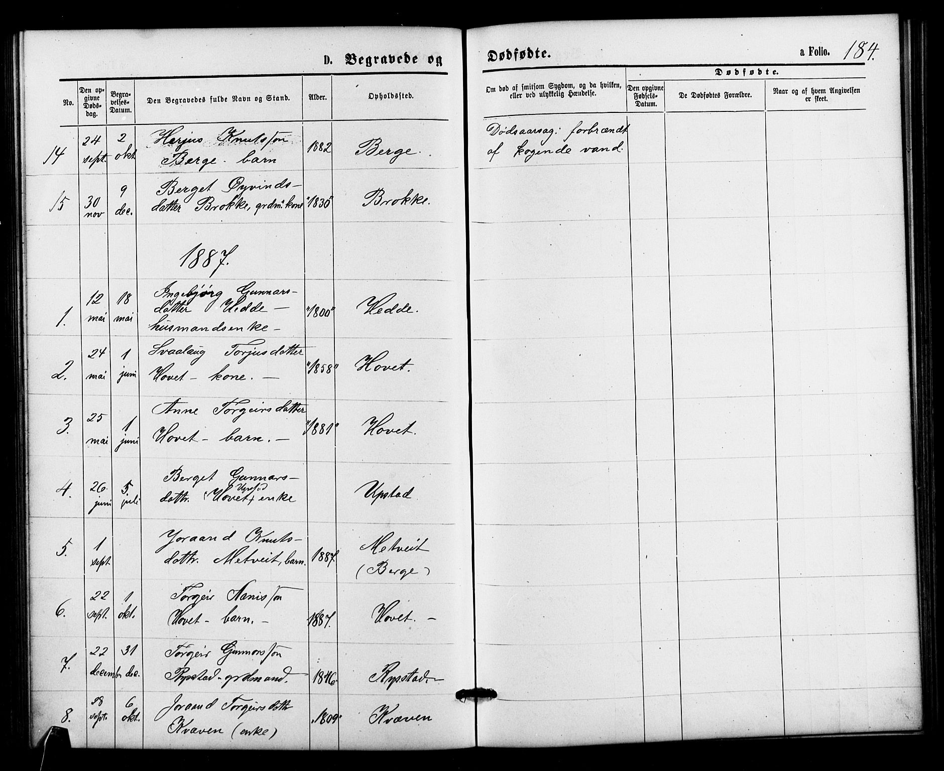 Valle sokneprestkontor, SAK/1111-0044/F/Fb/Fbb/L0002: Parish register (copy) no. B 2, 1875-1921, p. 184