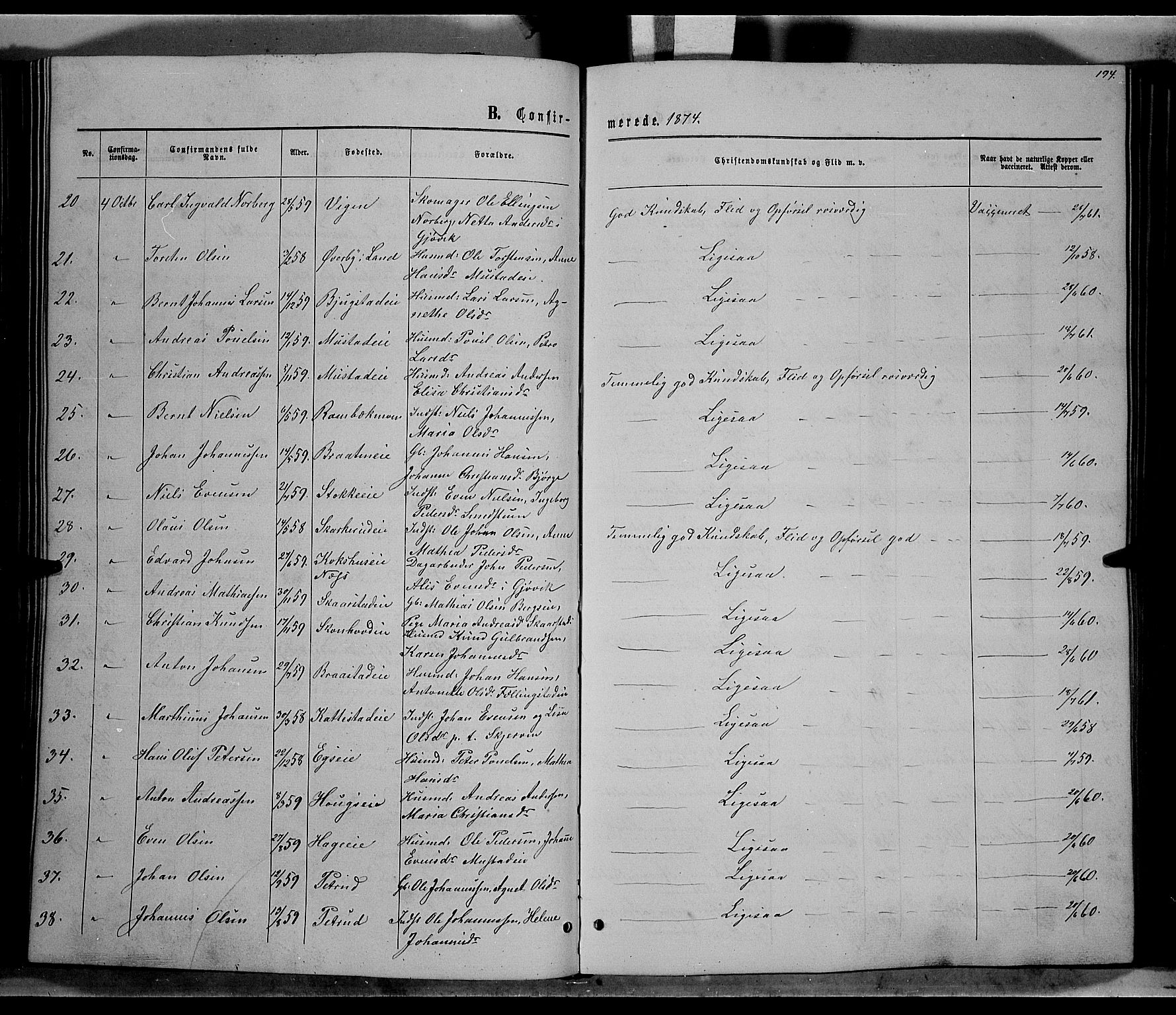 Vardal prestekontor, AV/SAH-PREST-100/H/Ha/Hab/L0006: Parish register (copy) no. 6, 1869-1881, p. 194