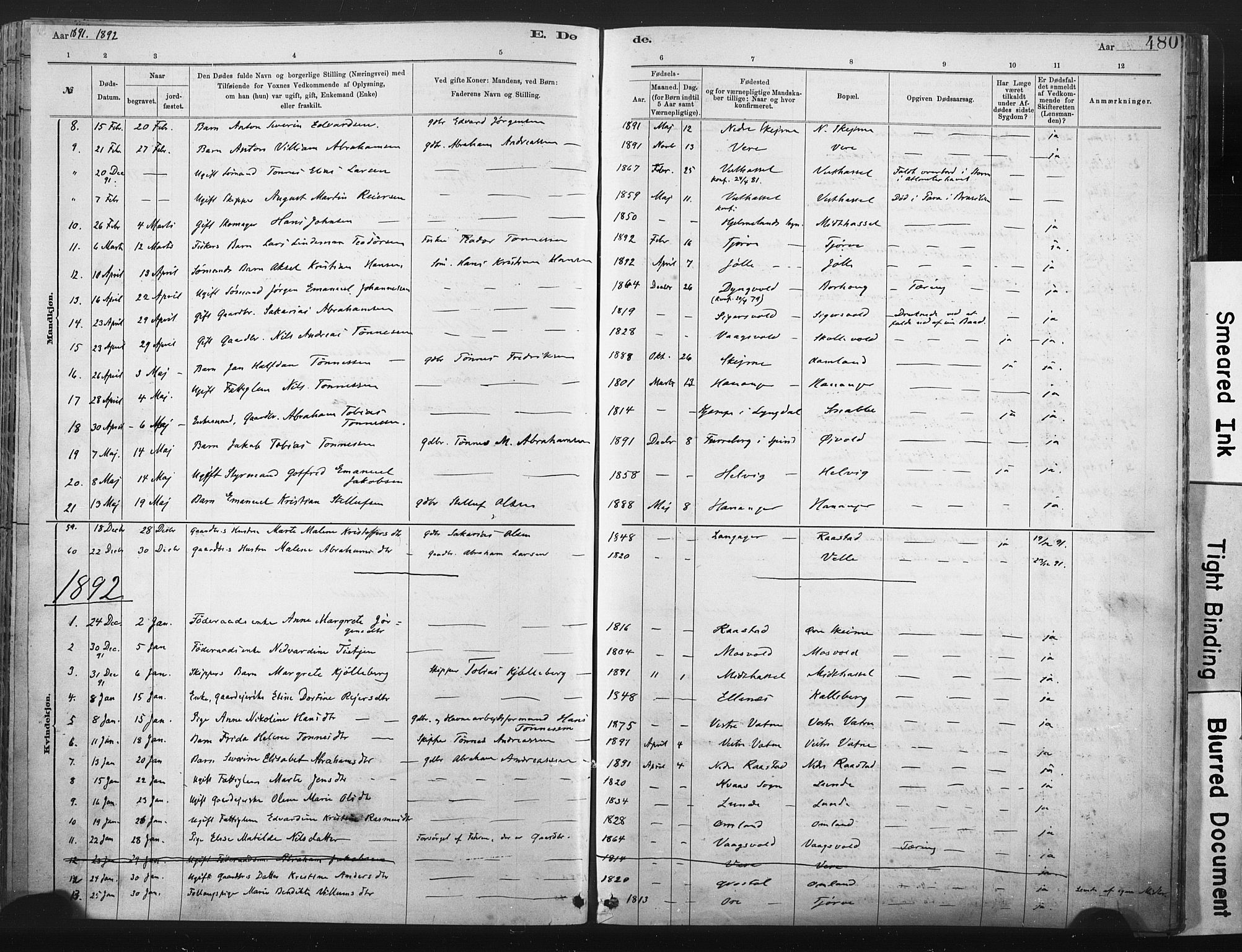 Lista sokneprestkontor, AV/SAK-1111-0027/F/Fa/L0012: Parish register (official) no. A 12, 1879-1903, p. 480