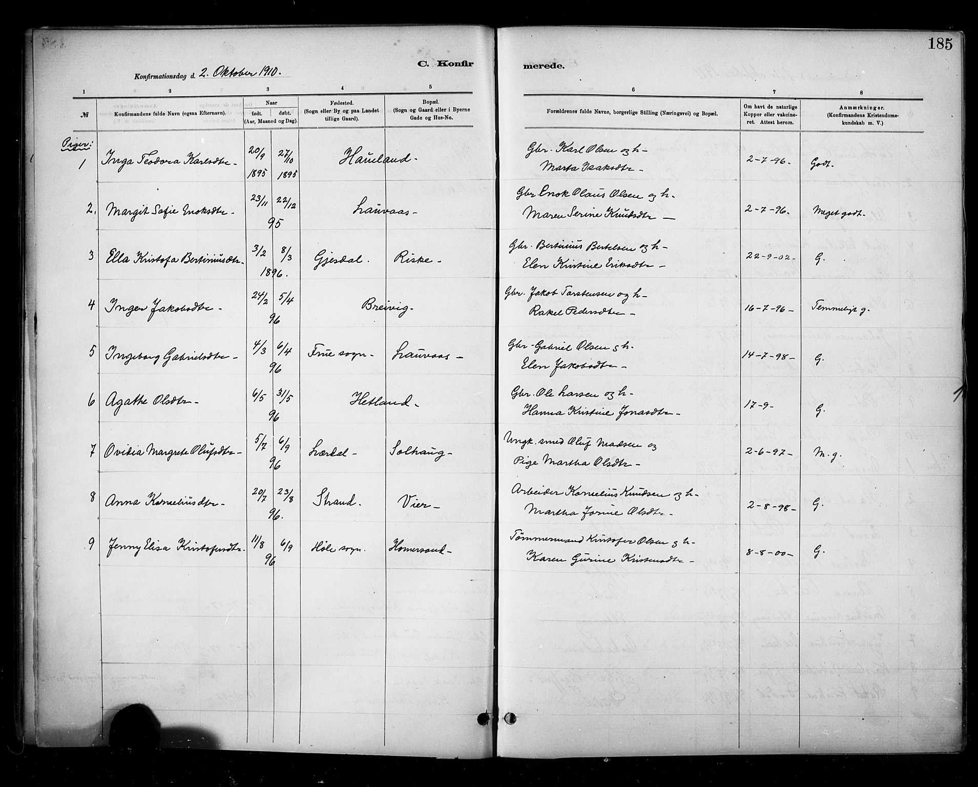 Hetland sokneprestkontor, SAST/A-101826/30/30BA/L0010: Parish register (official) no. A 10, 1882-1925, p. 185