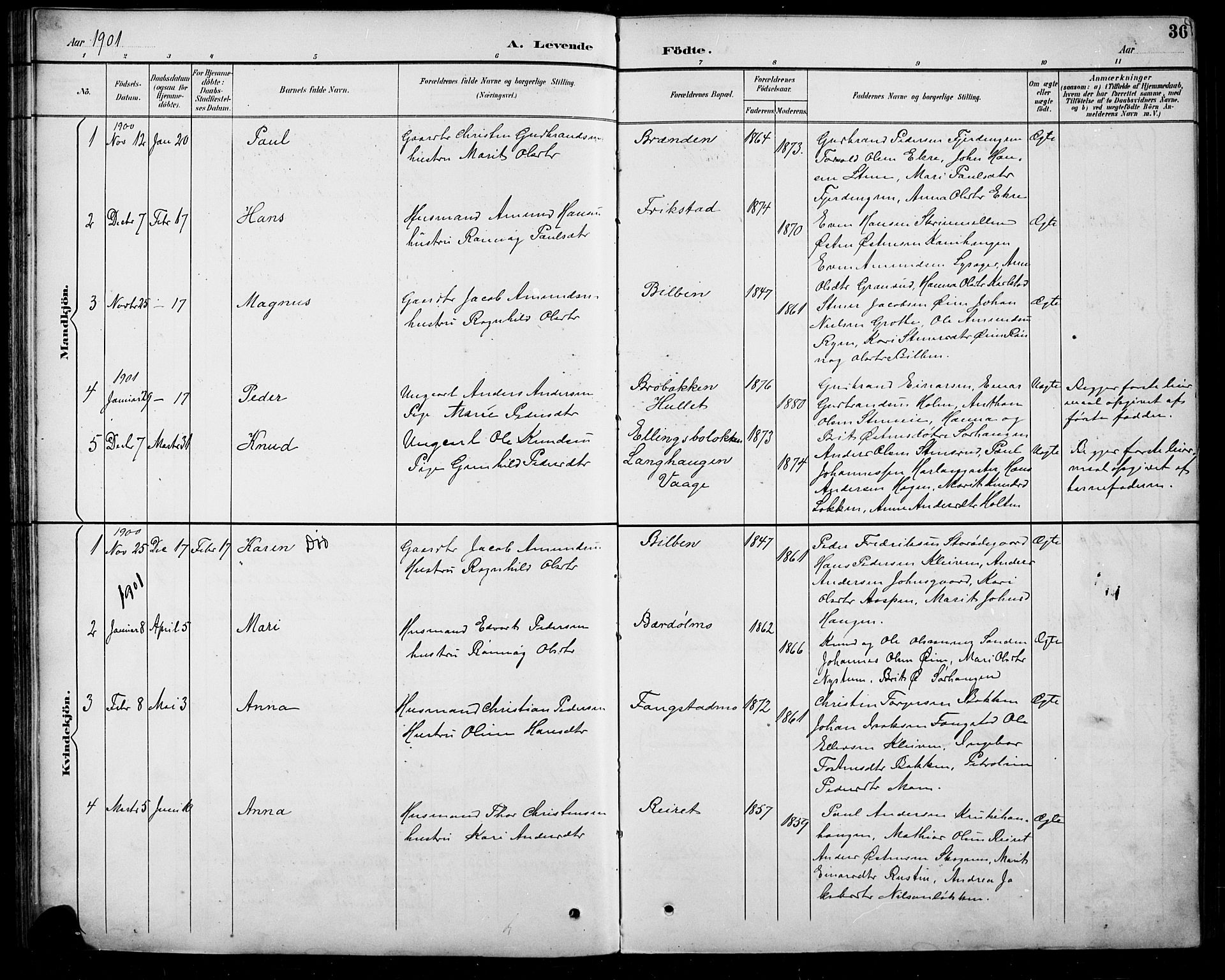 Sel prestekontor, SAH/PREST-074/H/Ha/Hab/L0005: Parish register (copy) no. 5, 1894-1923, p. 36