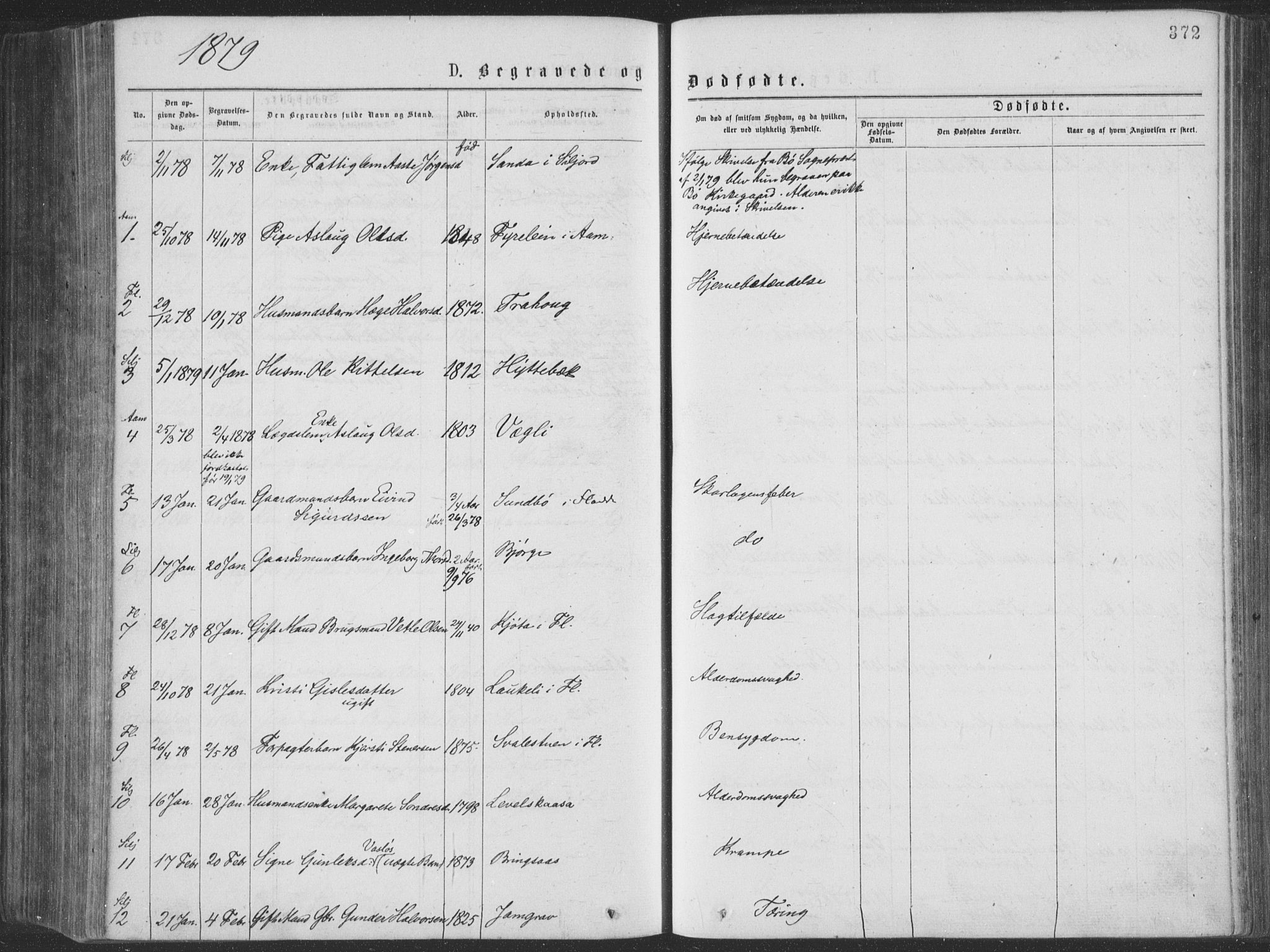 Seljord kirkebøker, SAKO/A-20/F/Fa/L0014: Parish register (official) no. I 14, 1877-1886, p. 372