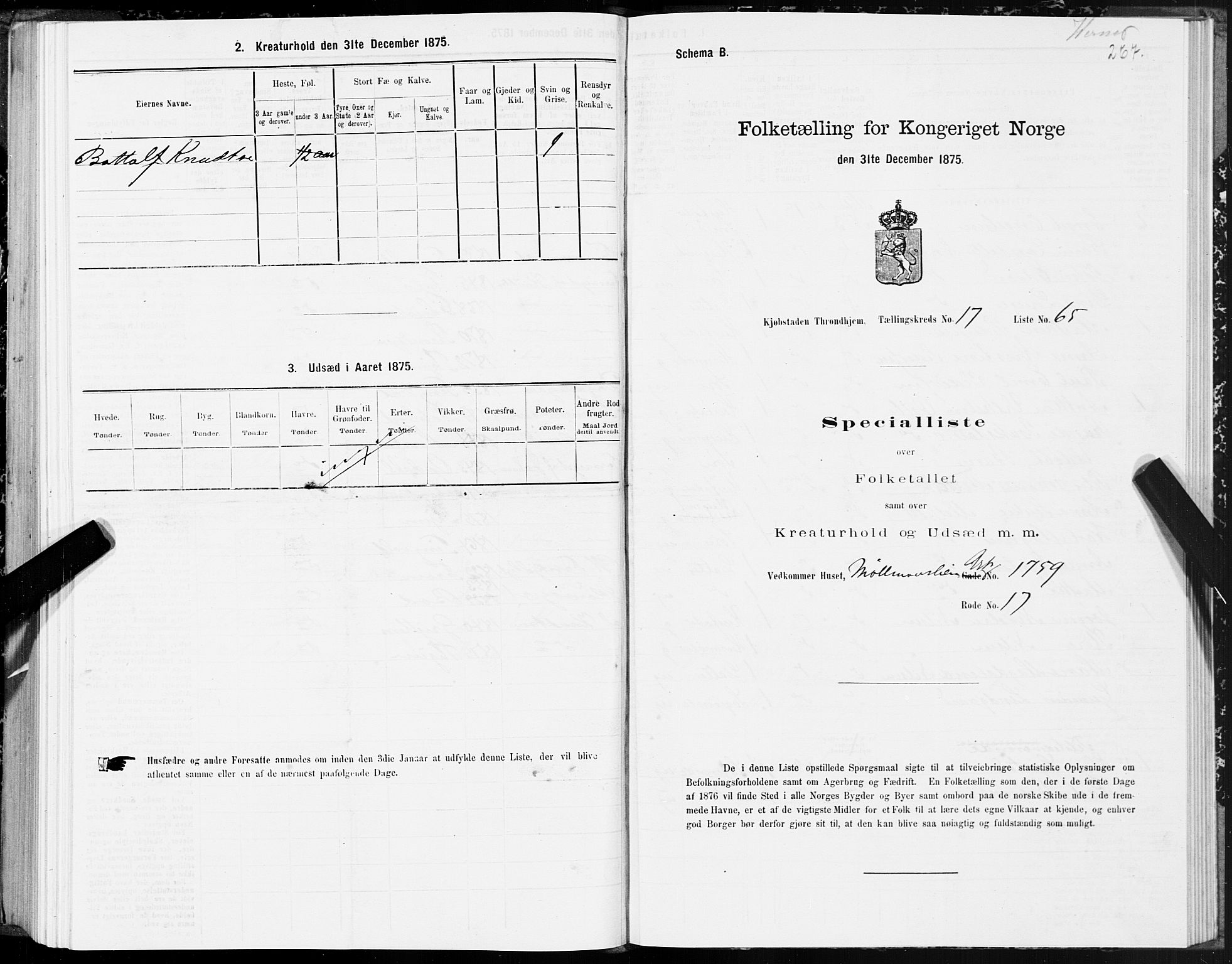 SAT, 1875 census for 1601 Trondheim, 1875, p. 9267