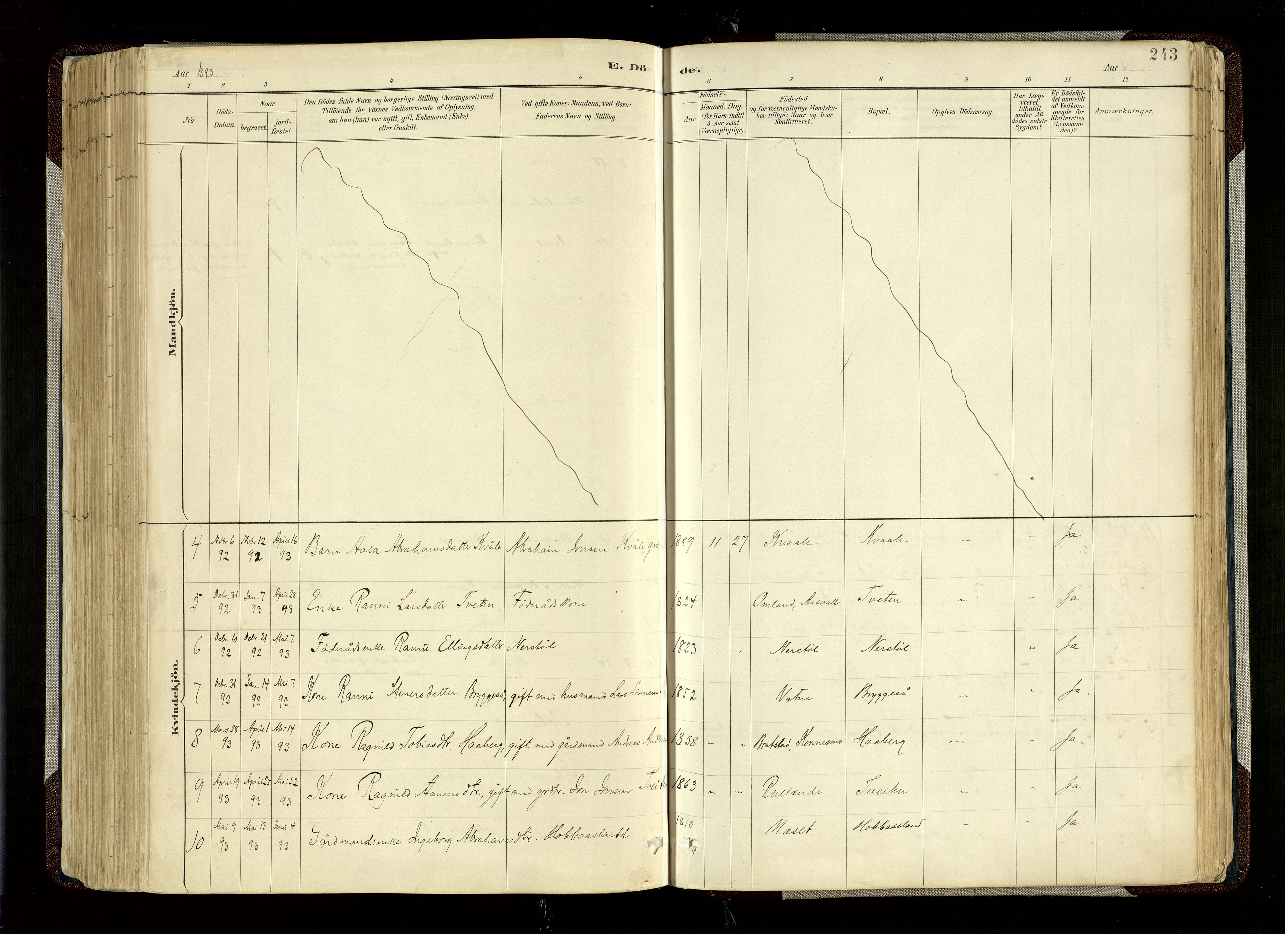 Hægebostad sokneprestkontor, AV/SAK-1111-0024/F/Fa/Fab/L0004: Parish register (official) no. A 4, 1887-1929, p. 243