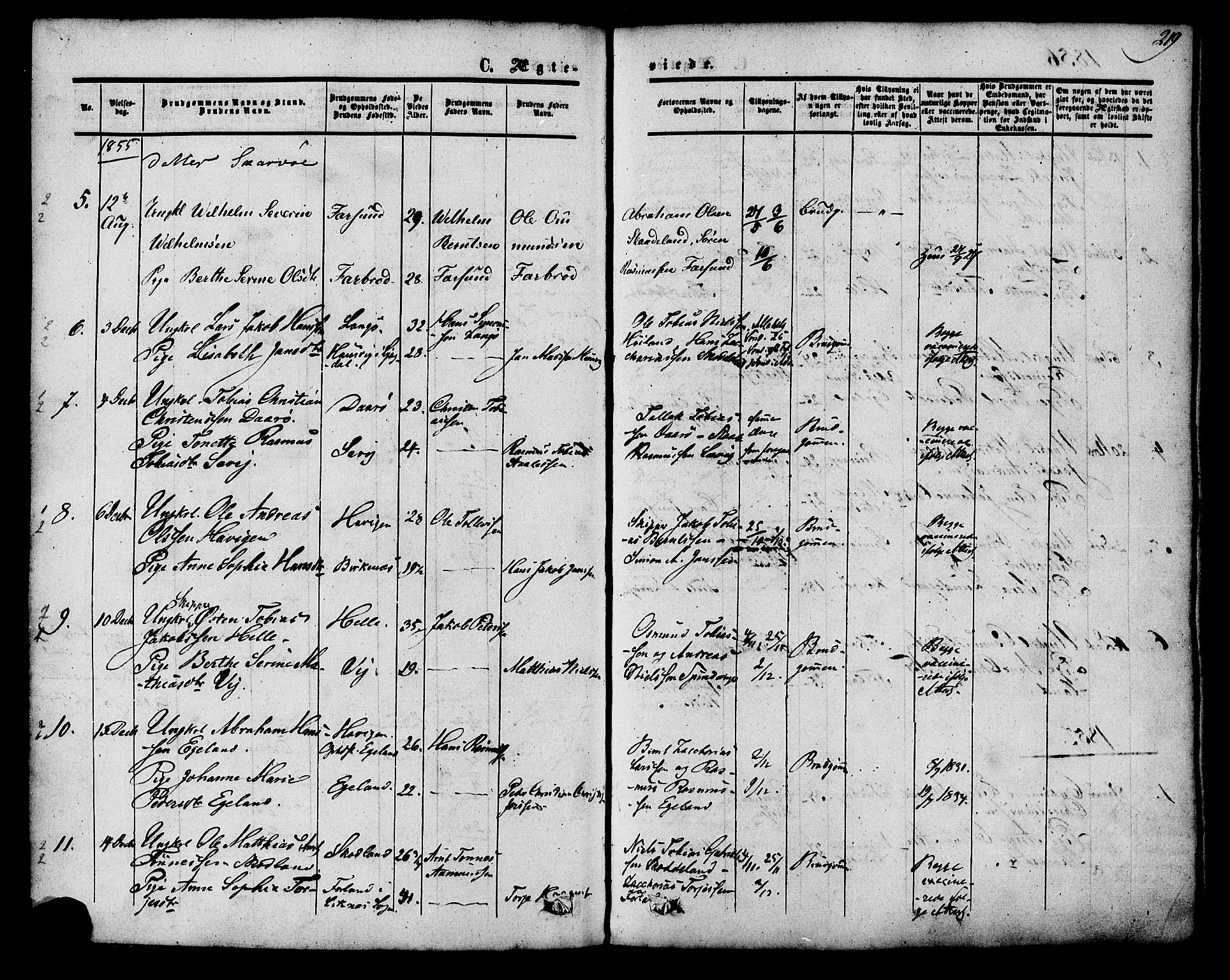 Herad sokneprestkontor, AV/SAK-1111-0018/F/Fa/Fab/L0004: Parish register (official) no. A 4, 1853-1885, p. 219