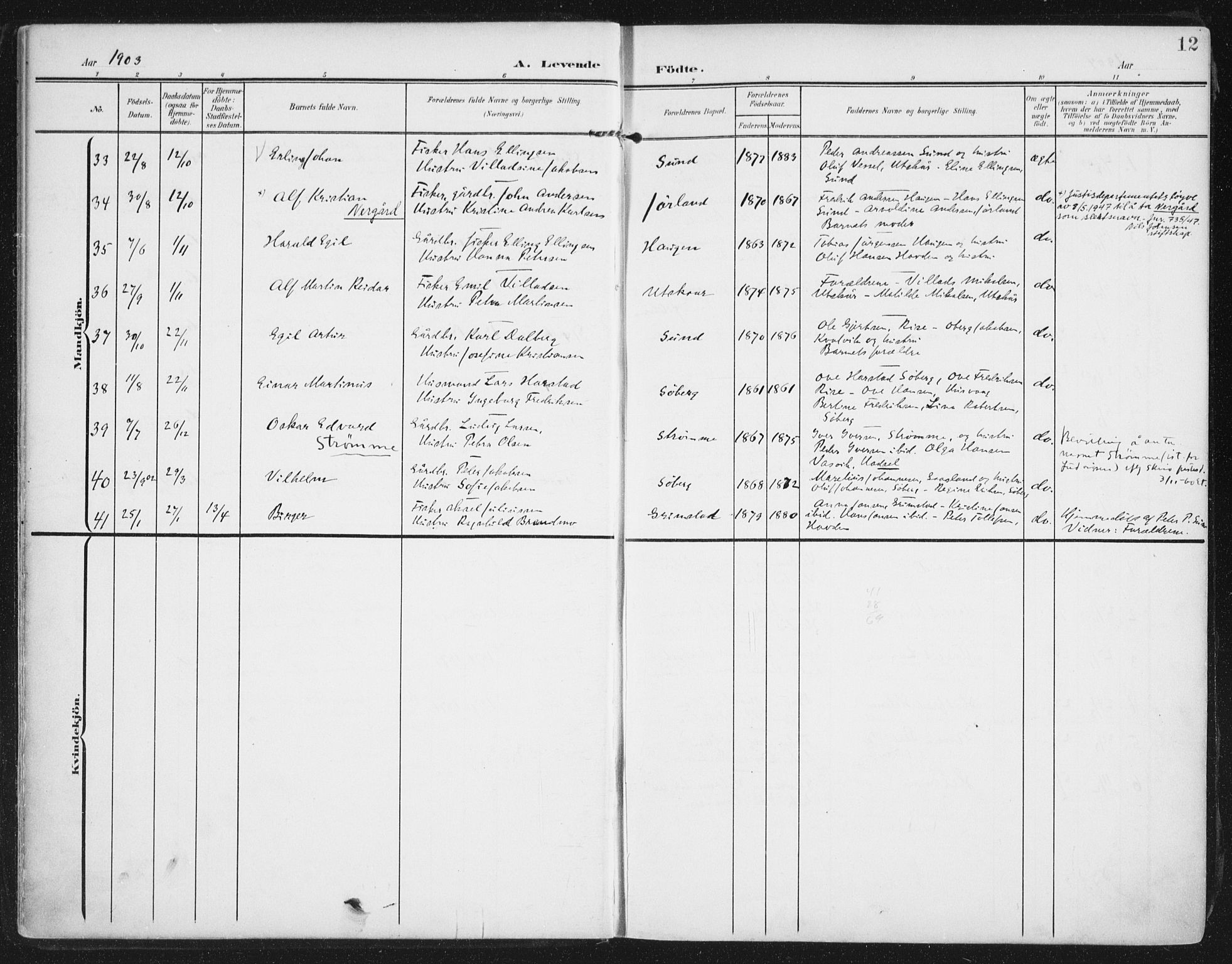 Ministerialprotokoller, klokkerbøker og fødselsregistre - Nordland, SAT/A-1459/892/L1321: Parish register (official) no. 892A02, 1902-1918, p. 12