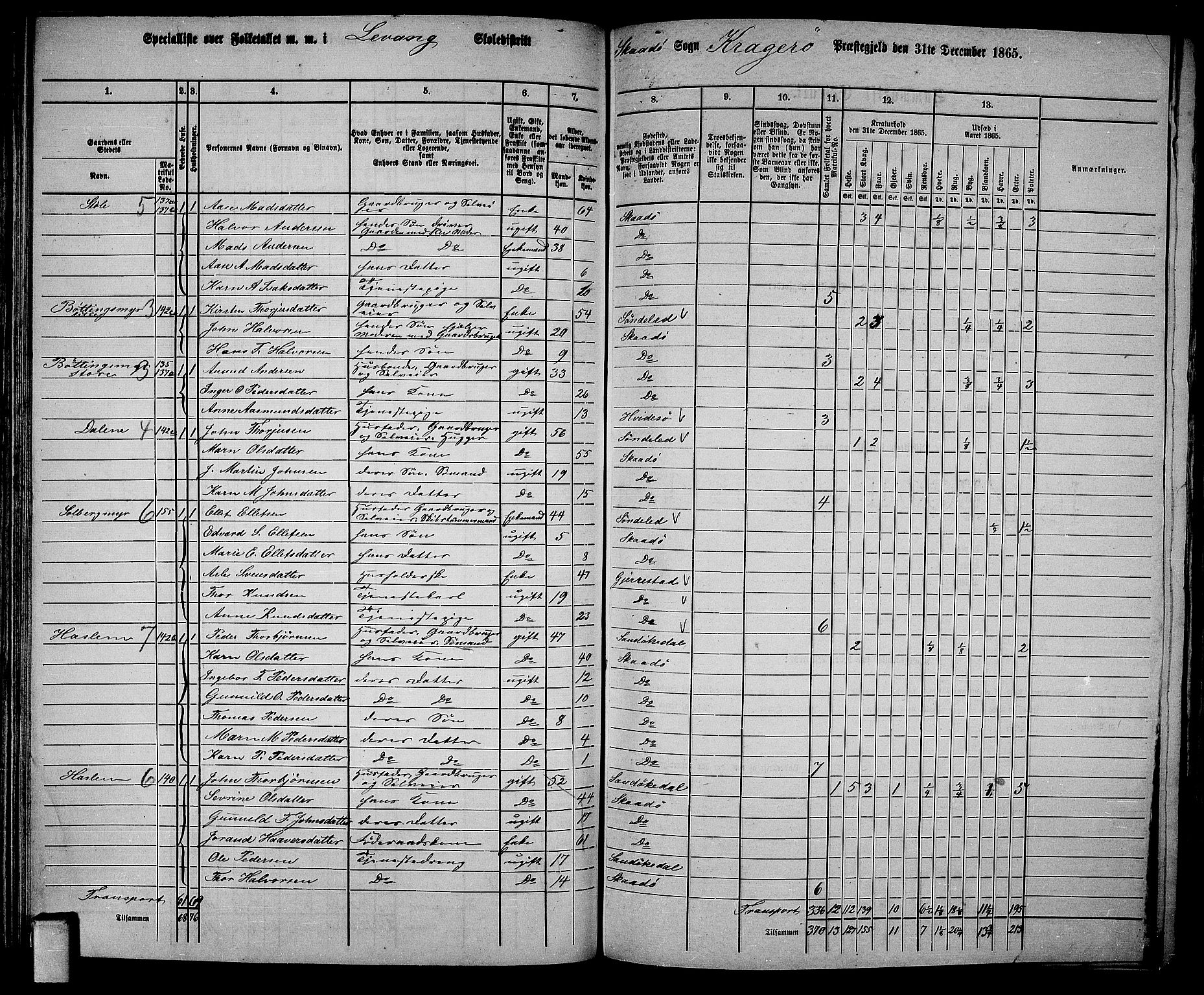 RA, 1865 census for Kragerø/Sannidal og Skåtøy, 1865, p. 100