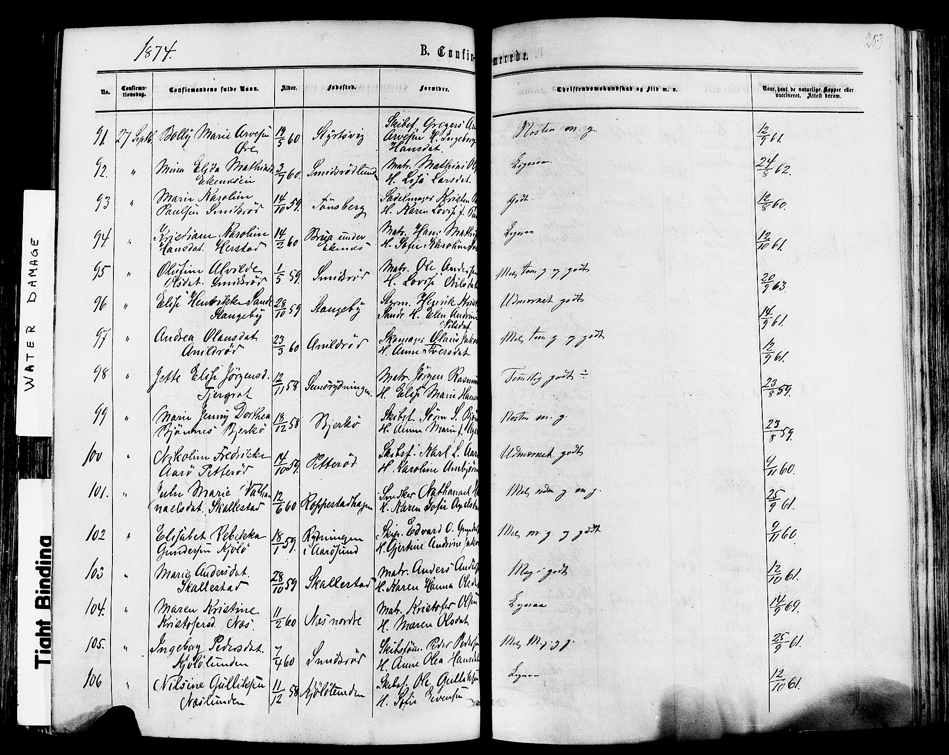 Nøtterøy kirkebøker, SAKO/A-354/F/Fa/L0007: Parish register (official) no. I 7, 1865-1877, p. 253