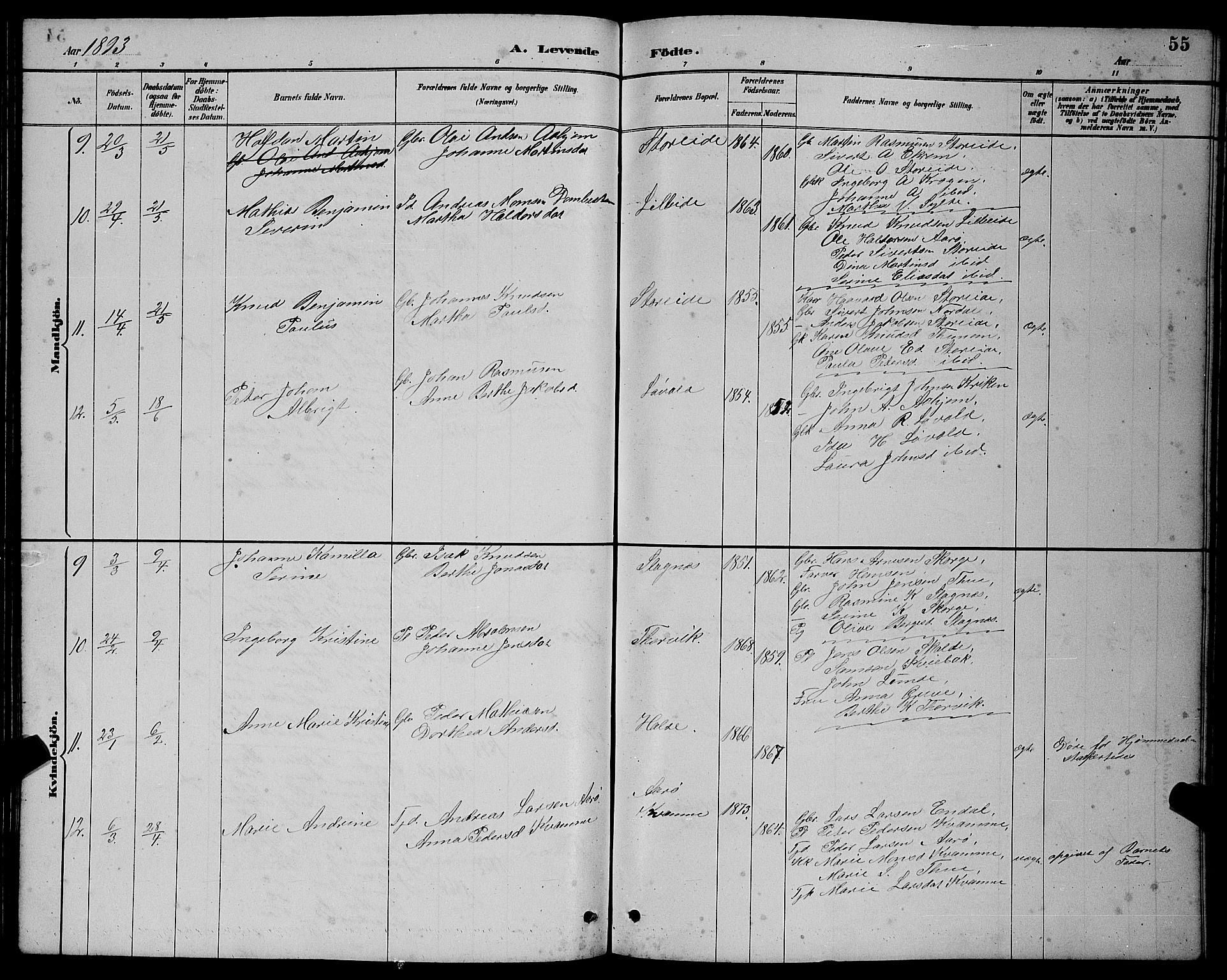 Ministerialprotokoller, klokkerbøker og fødselsregistre - Møre og Romsdal, AV/SAT-A-1454/501/L0017: Parish register (copy) no. 501C03, 1885-1901, p. 55