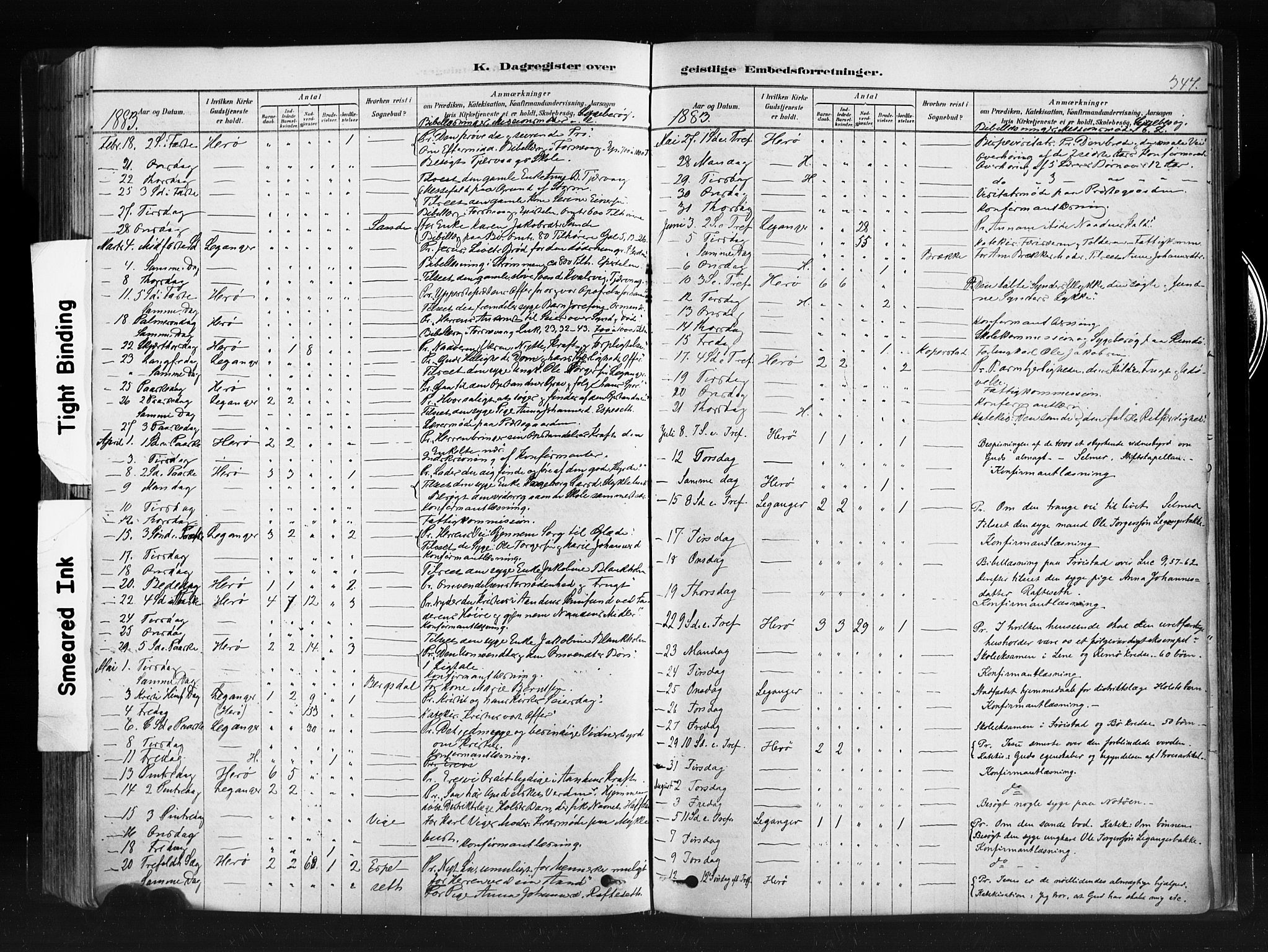 Ministerialprotokoller, klokkerbøker og fødselsregistre - Møre og Romsdal, SAT/A-1454/507/L0073: Parish register (official) no. 507A08, 1878-1904, p. 347