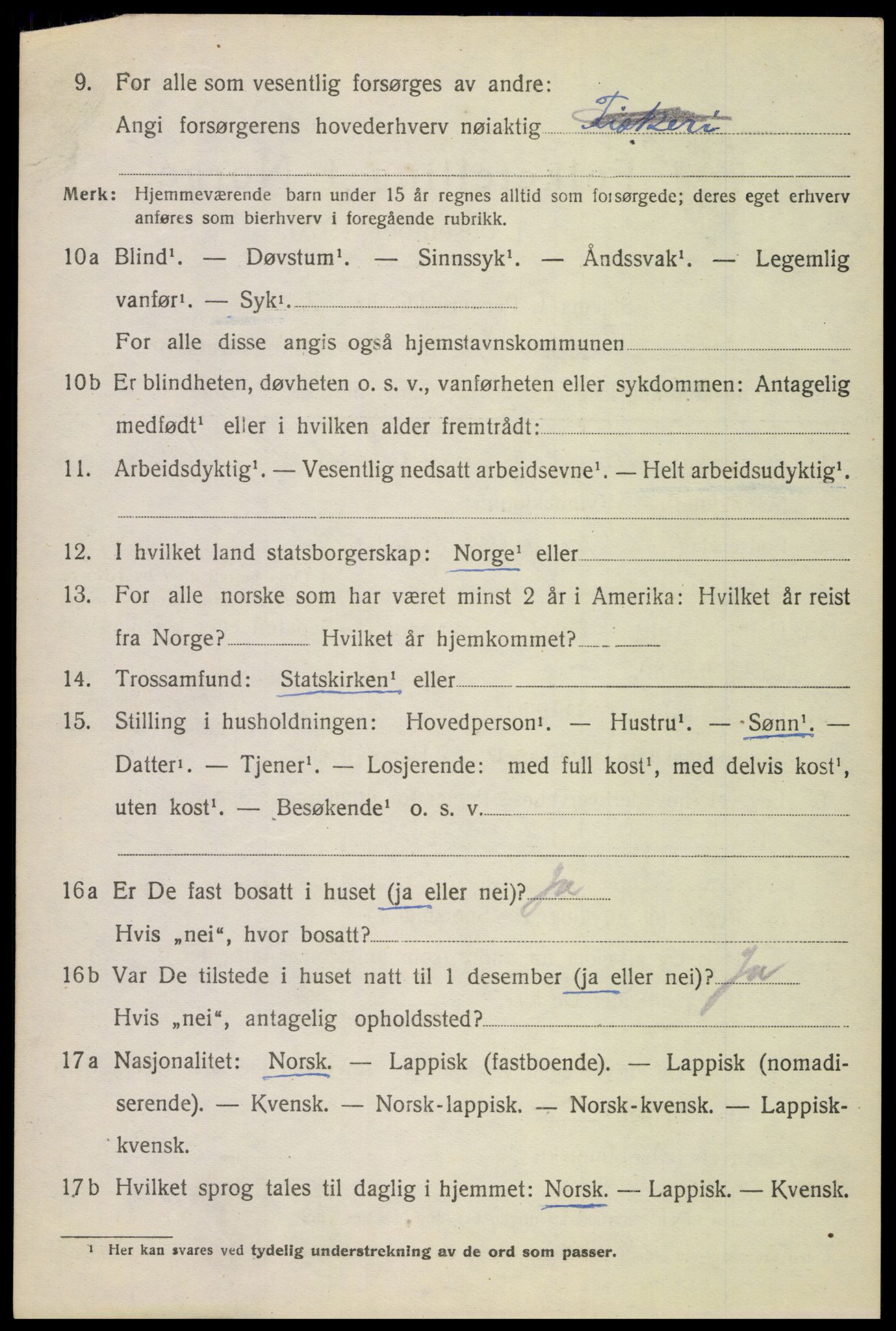 SAT, 1920 census for Bodin, 1920, p. 1915