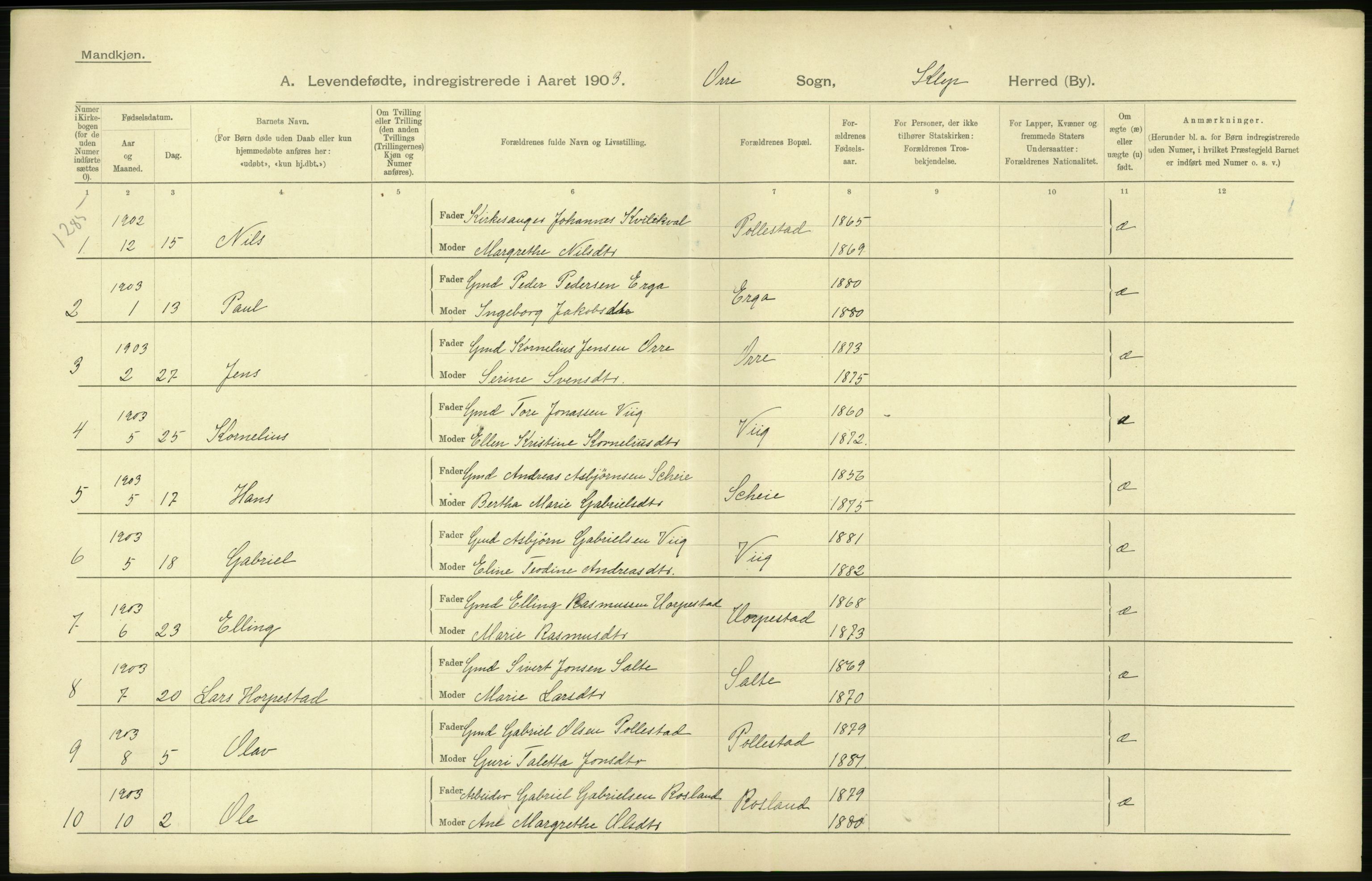 Statistisk sentralbyrå, Sosiodemografiske emner, Befolkning, AV/RA-S-2228/D/Df/Dfa/Dfaa/L0012: Stavanger amt: Fødte, gifte, døde, 1903, p. 36