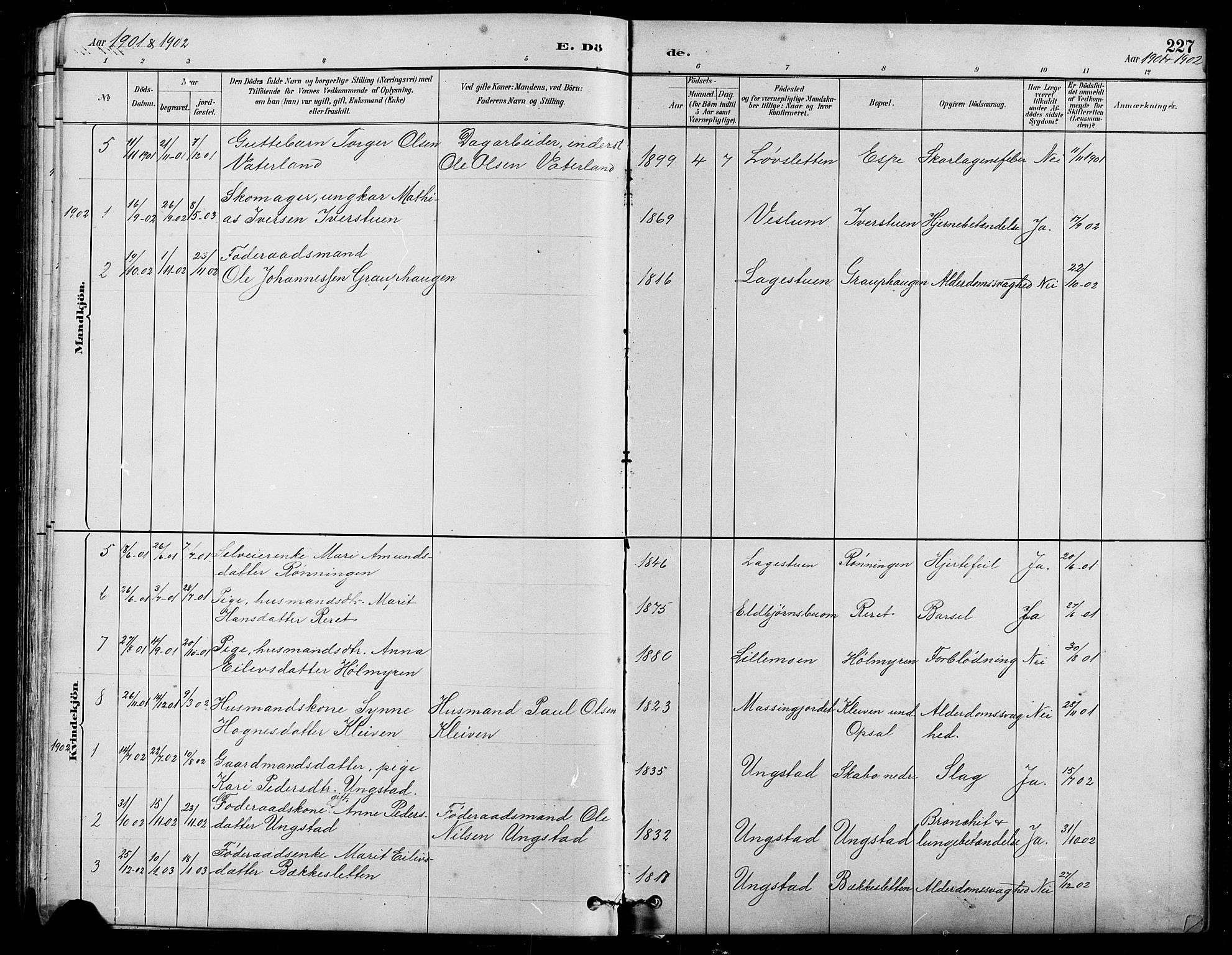 Nord-Fron prestekontor, SAH/PREST-080/H/Ha/Hab/L0005: Parish register (copy) no. 5, 1884-1914, p. 227