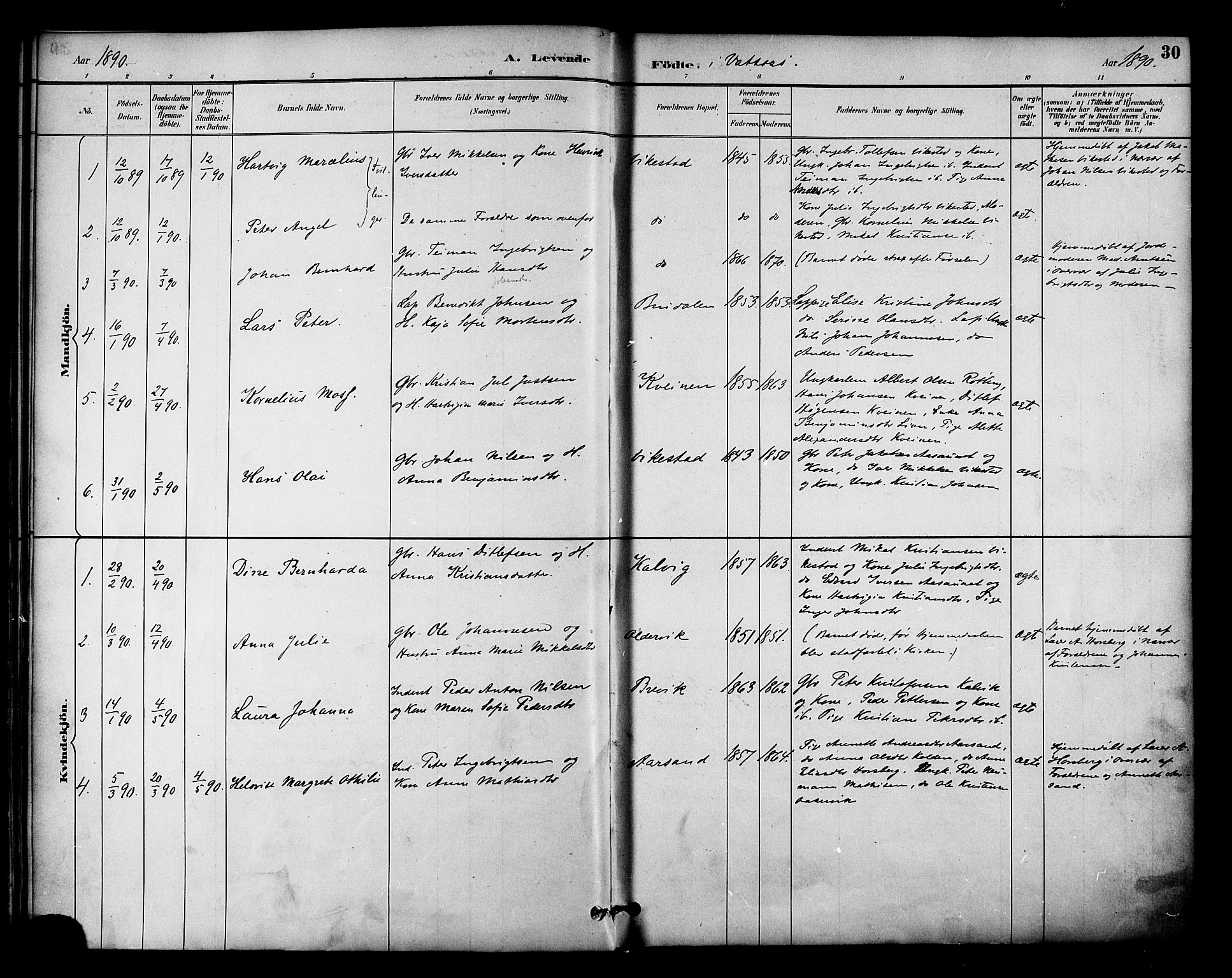 Ministerialprotokoller, klokkerbøker og fødselsregistre - Nordland, AV/SAT-A-1459/810/L0150: Parish register (official) no. 810A10 /1, 1884-1895, p. 30