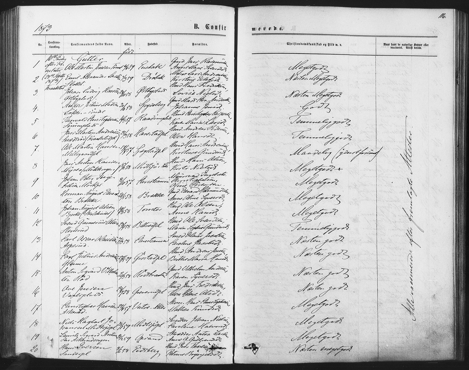 Kråkstad prestekontor Kirkebøker, SAO/A-10125a/F/Fa/L0008: Parish register (official) no. I 8, 1870-1879, p. 116