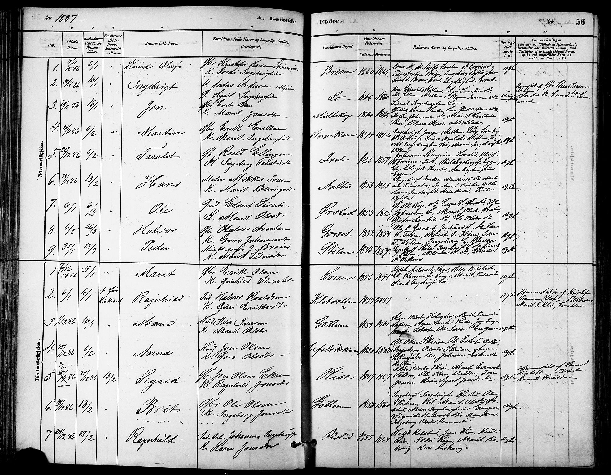 Ministerialprotokoller, klokkerbøker og fødselsregistre - Sør-Trøndelag, AV/SAT-A-1456/678/L0901: Parish register (official) no. 678A10, 1881-1894, p. 56