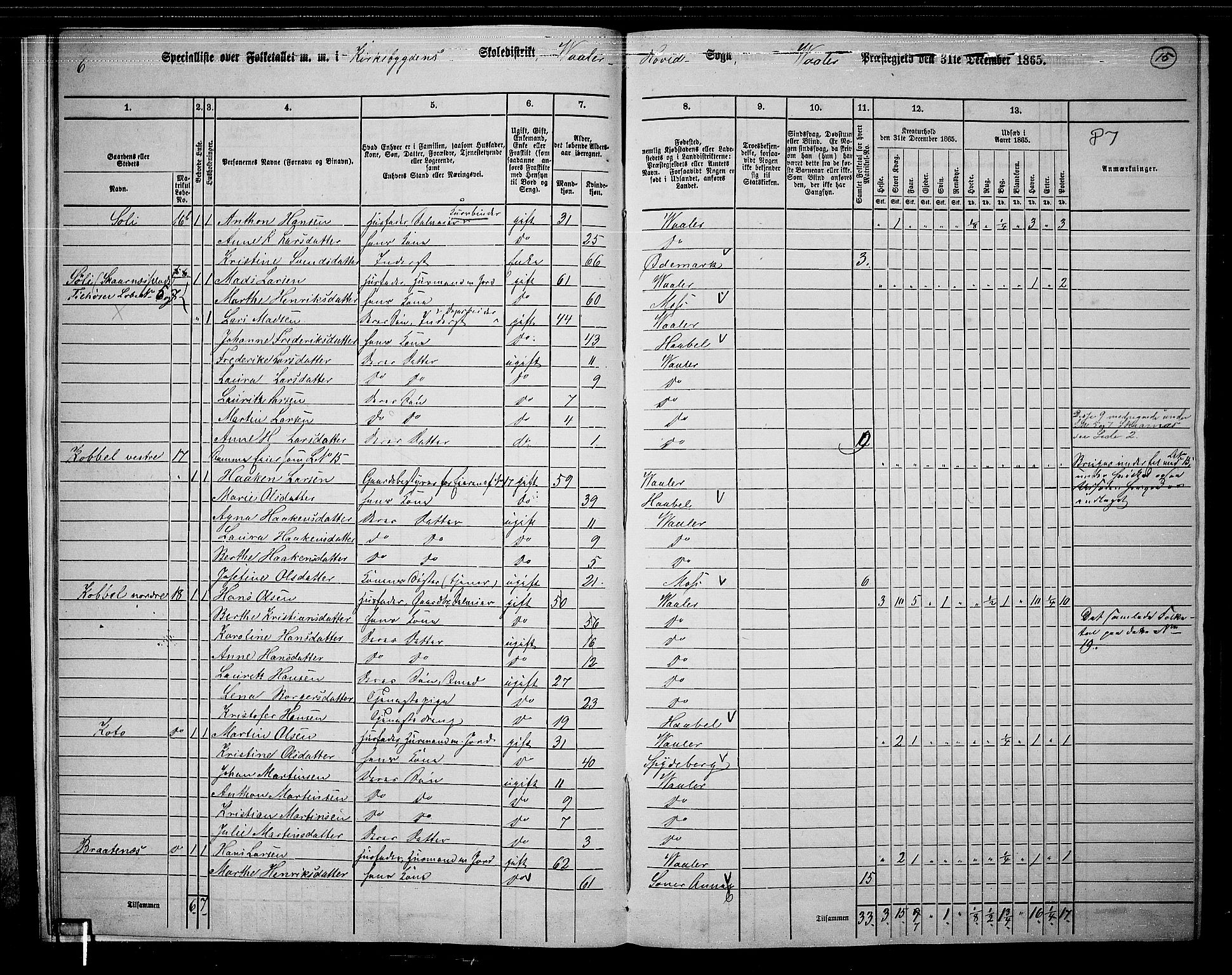 RA, 1865 census for Våler, 1865, p. 16