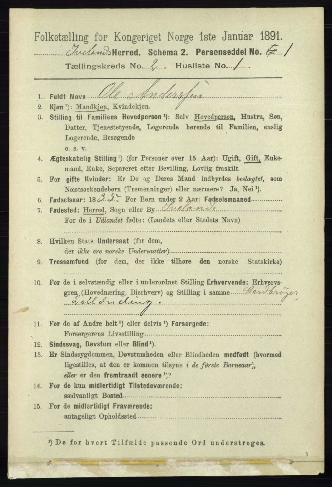 RA, 1891 census for 0935 Iveland, 1891, p. 406