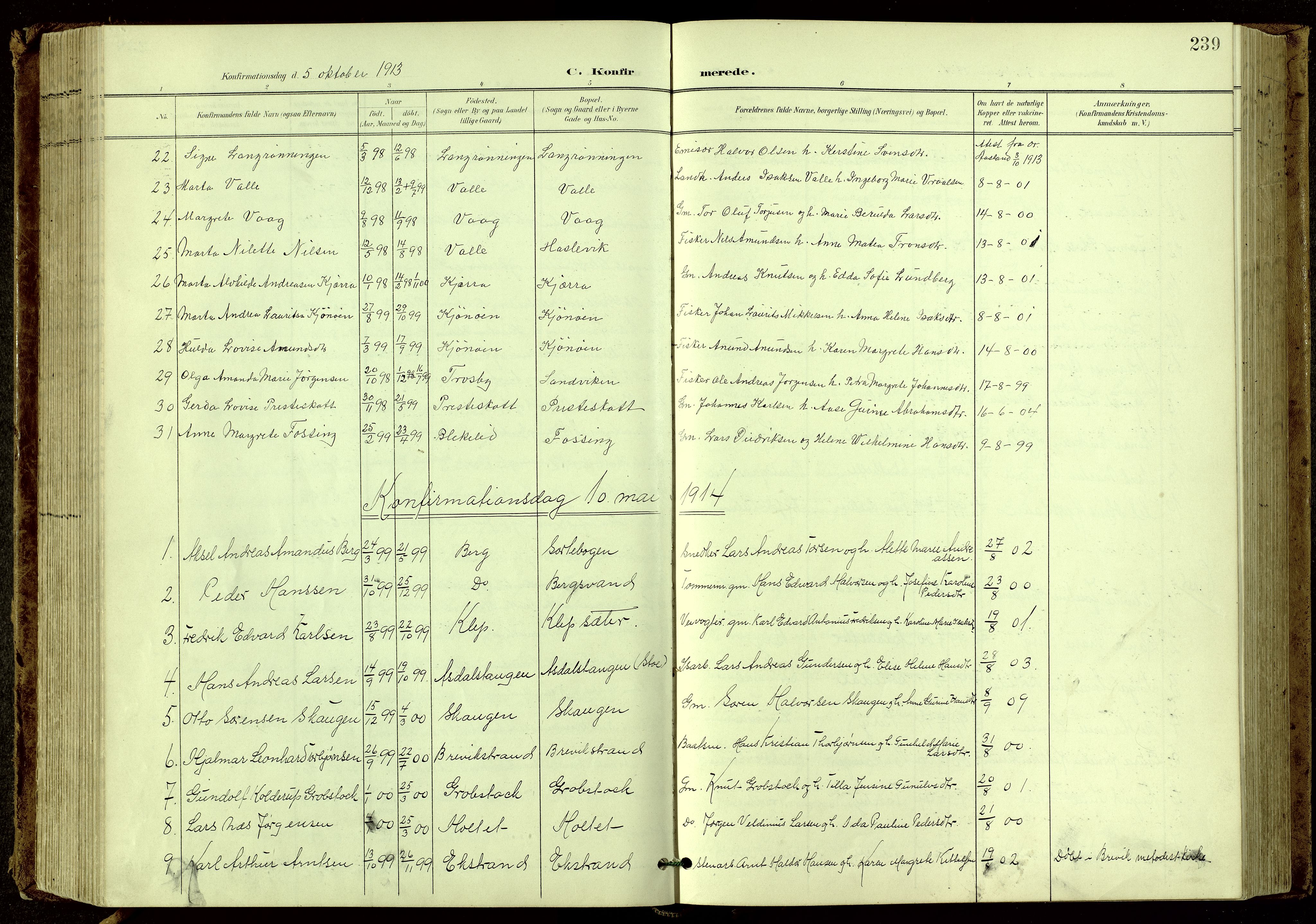 Bamble kirkebøker, SAKO/A-253/G/Ga/L0010: Parish register (copy) no. I 10, 1901-1919, p. 239