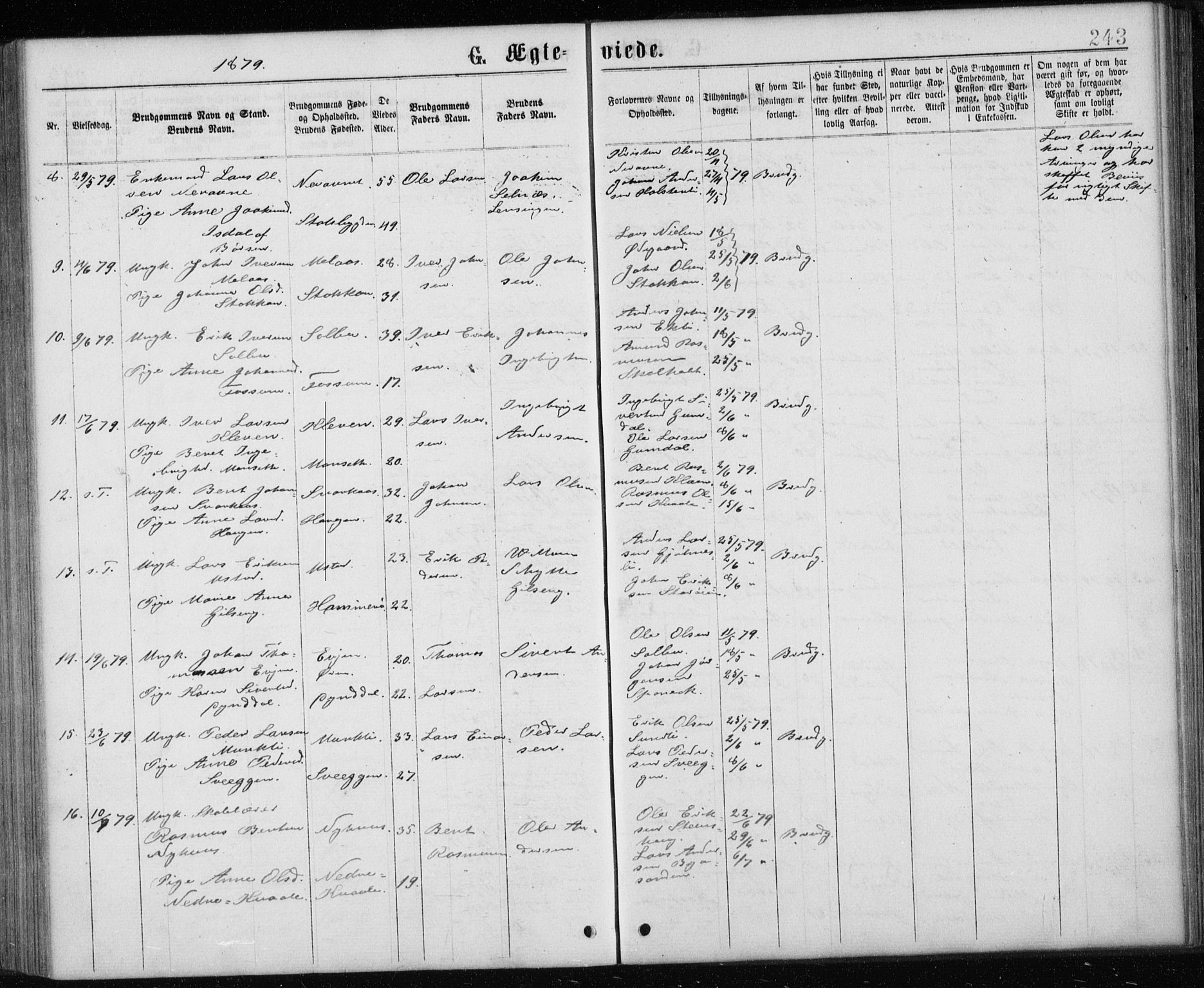 Ministerialprotokoller, klokkerbøker og fødselsregistre - Sør-Trøndelag, SAT/A-1456/668/L0817: Parish register (copy) no. 668C06, 1873-1884, p. 243