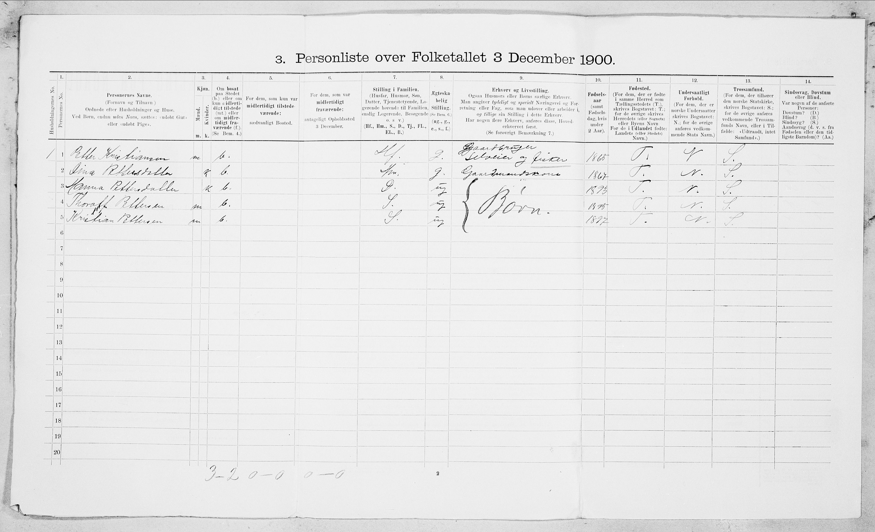 SAT, 1900 census for Bodin, 1900, p. 1207