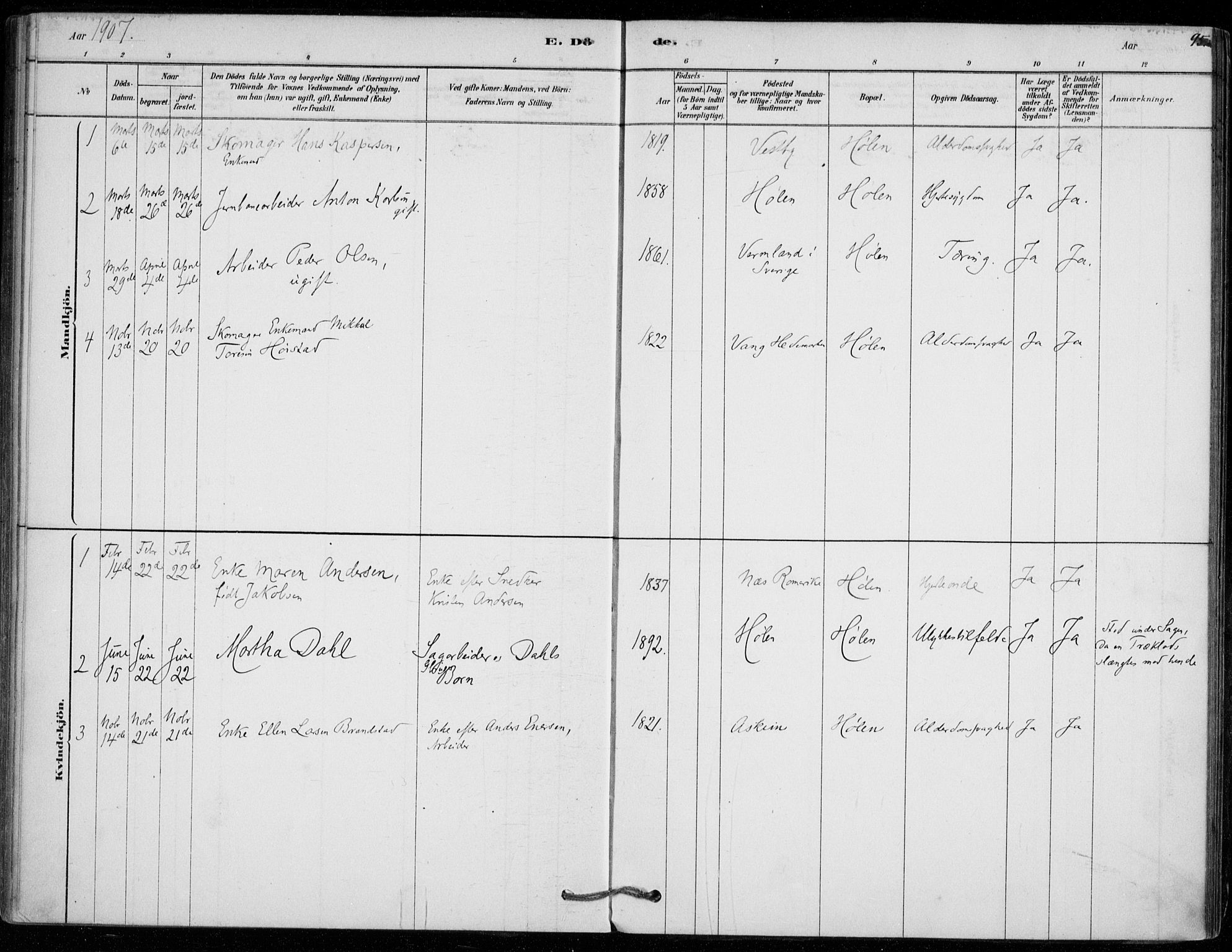 Vestby prestekontor Kirkebøker, SAO/A-10893/F/Fe/L0001: Parish register (official) no. V 1, 1878-1931, p. 95