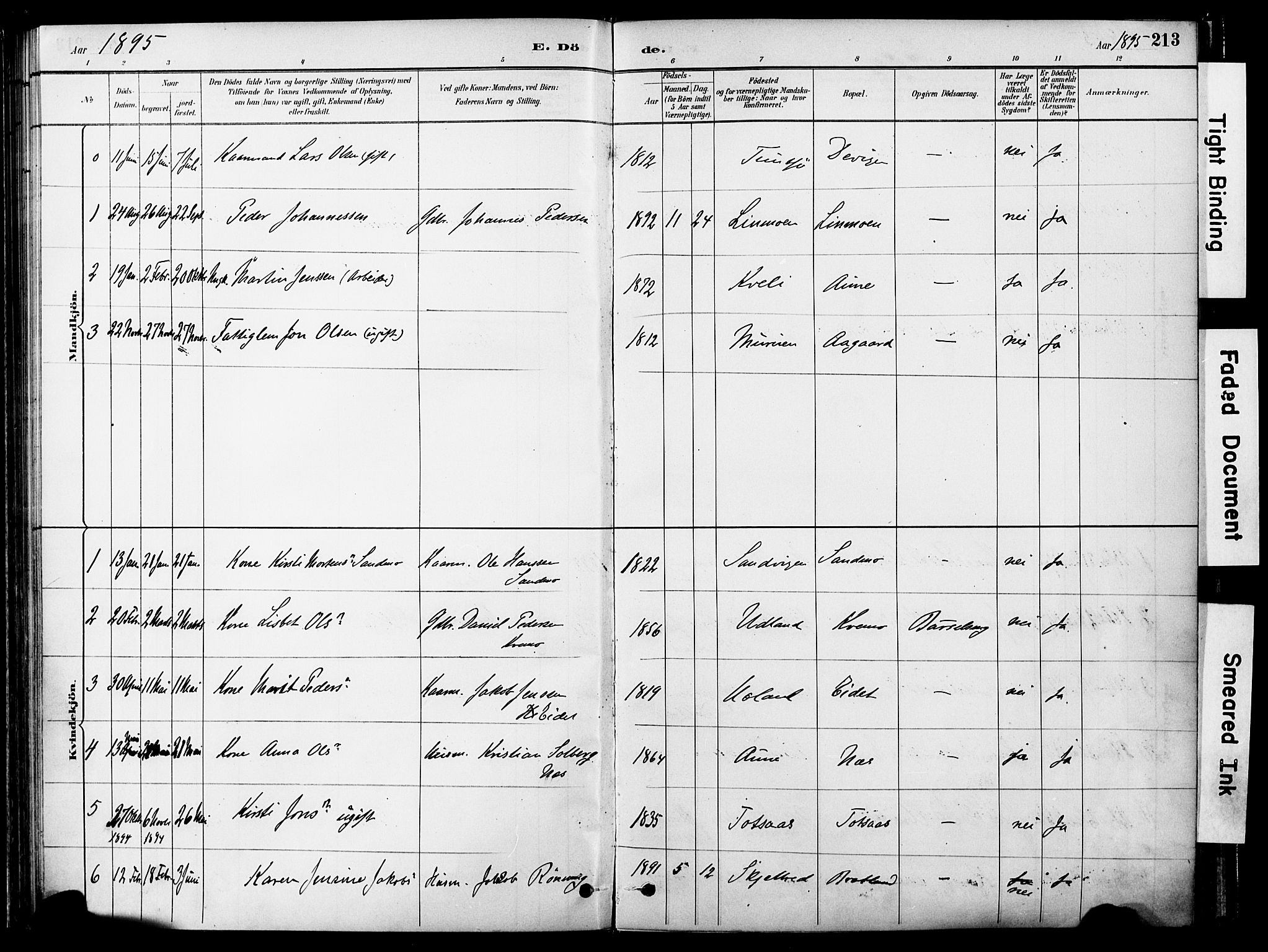 Ministerialprotokoller, klokkerbøker og fødselsregistre - Nord-Trøndelag, SAT/A-1458/755/L0494: Parish register (official) no. 755A03, 1882-1902, p. 213