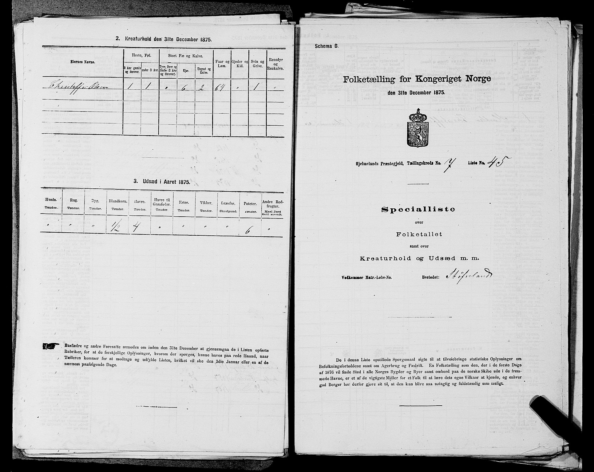 SAST, 1875 census for 1133P Hjelmeland, 1875, p. 992