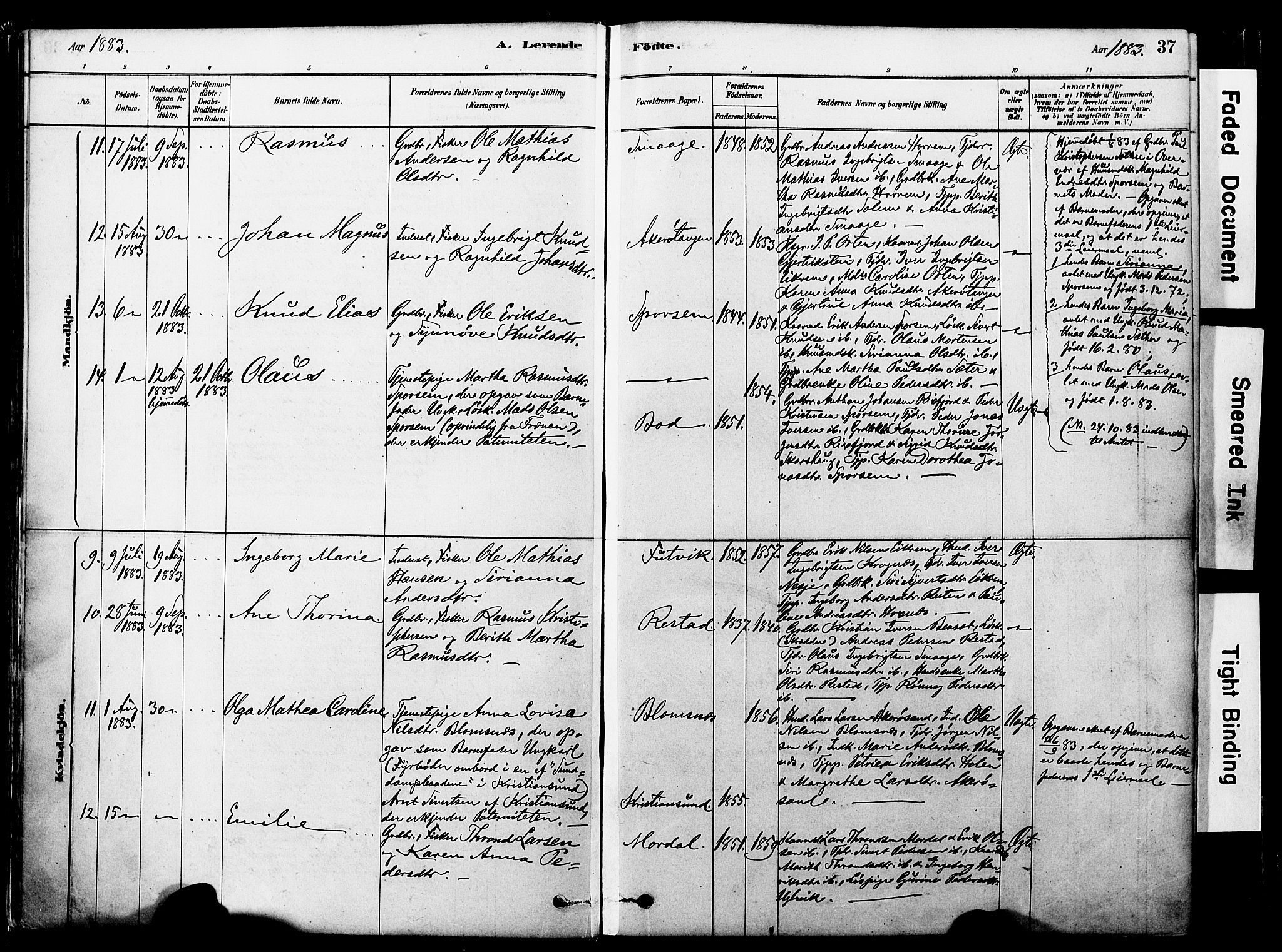 Ministerialprotokoller, klokkerbøker og fødselsregistre - Møre og Romsdal, AV/SAT-A-1454/560/L0721: Parish register (official) no. 560A05, 1878-1917, p. 37